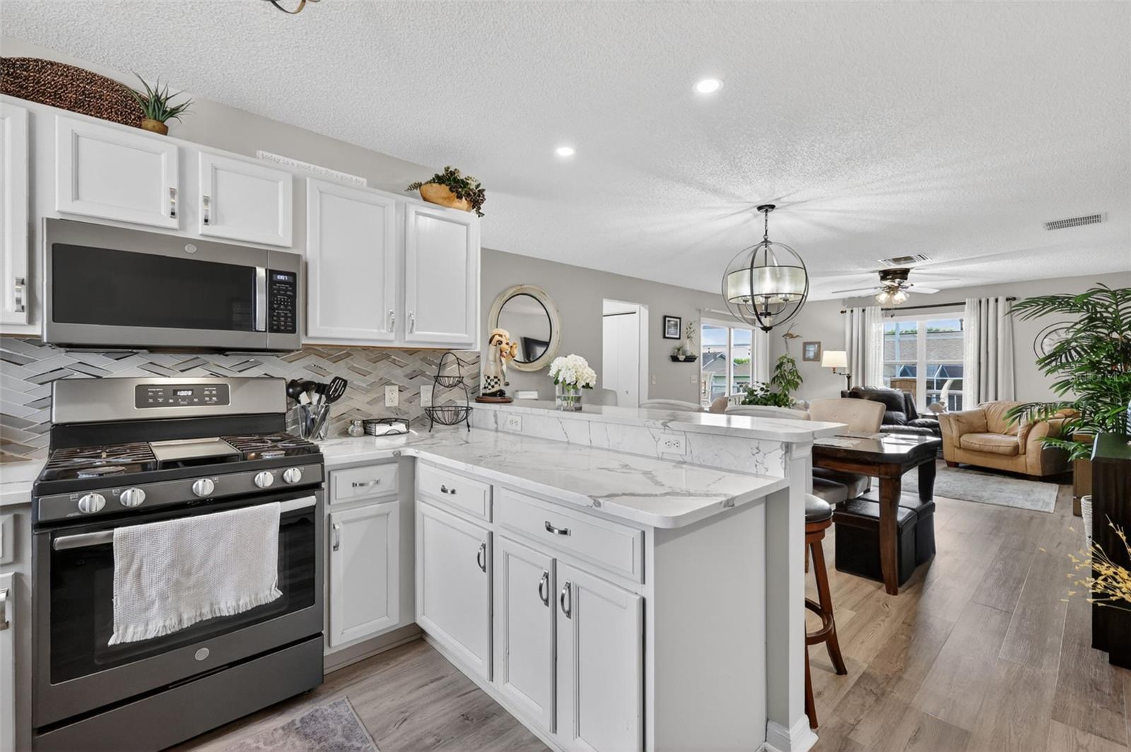 16919 SE 96TH CHAPELWOOD CIR, THE VILLAGES, FL, 32162