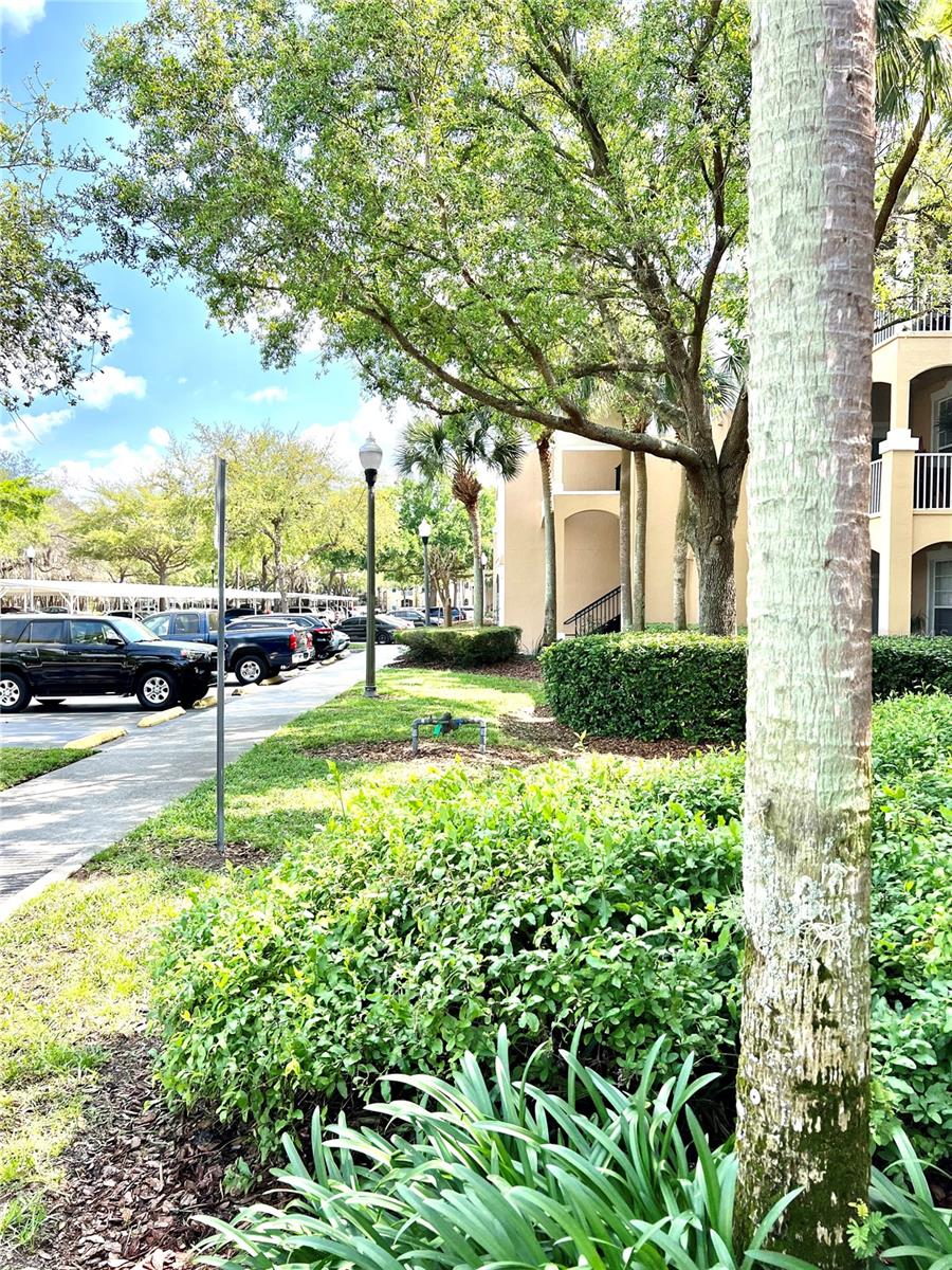 6214 STEVENSON DR #307, ORLANDO, FL, 32835