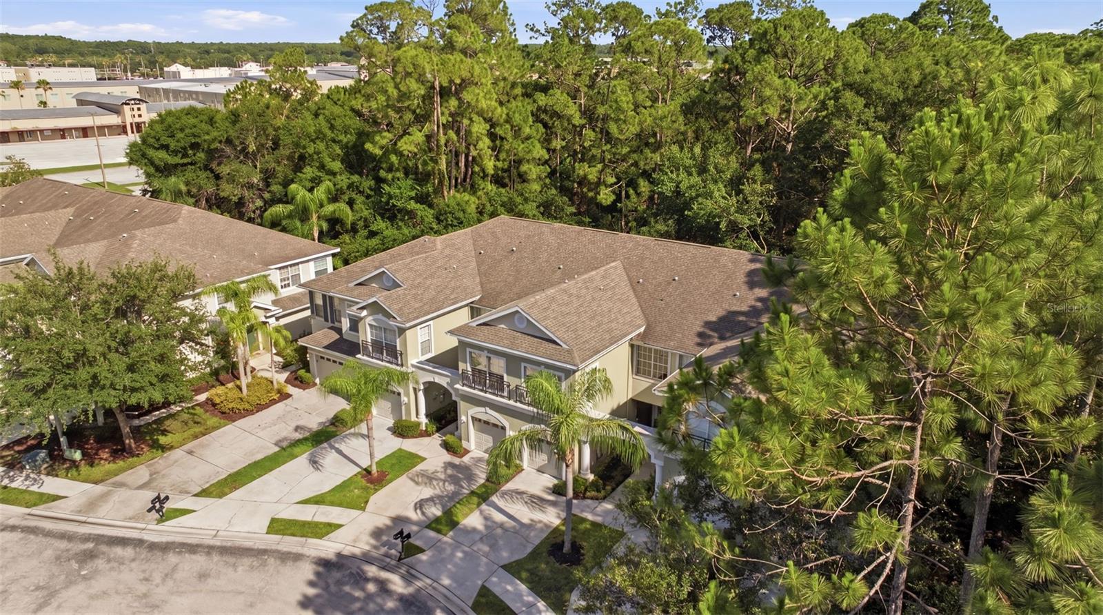 14244 WATERVILLE CIR, TAMPA, FL, 33626