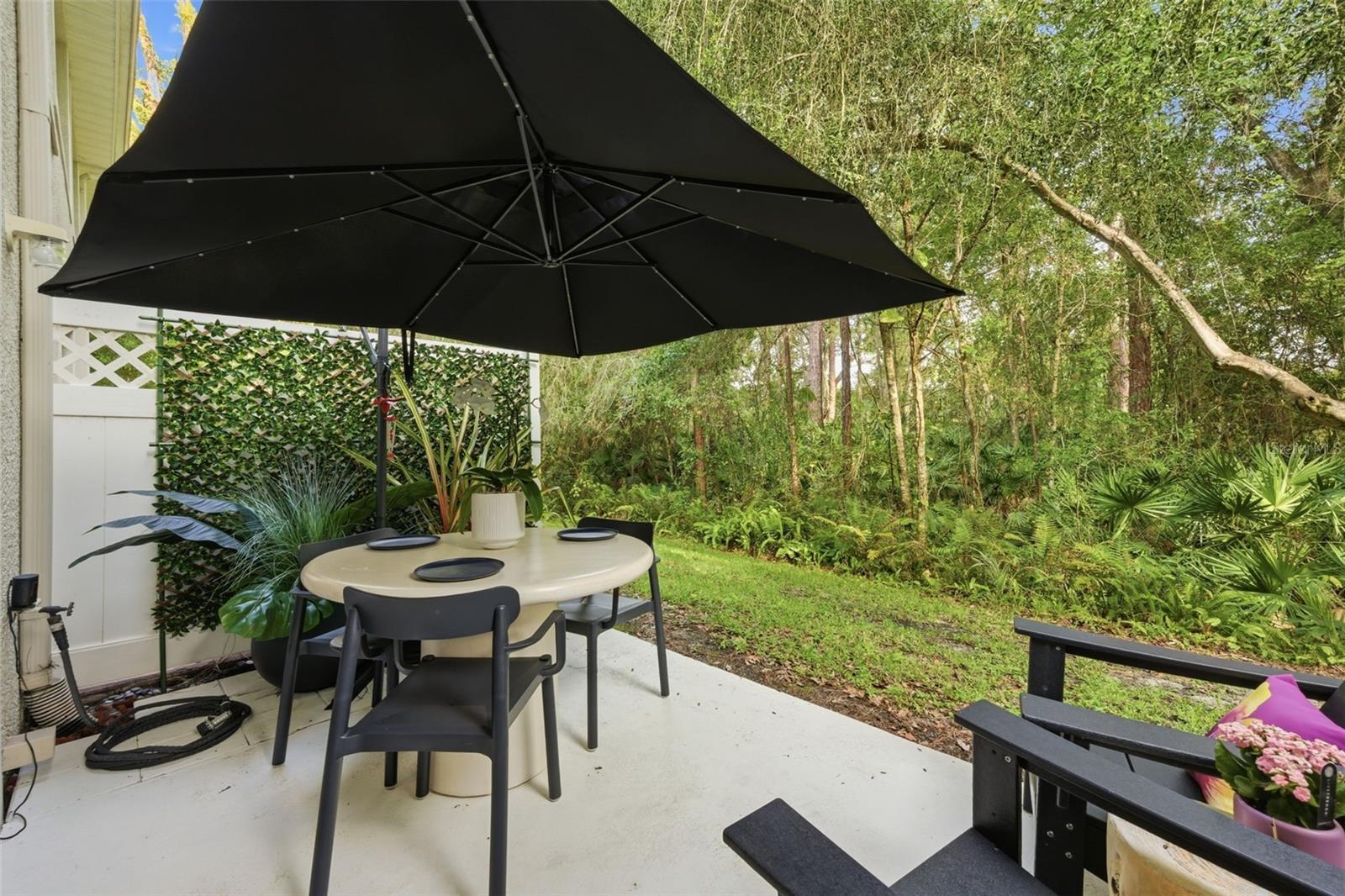 14244 WATERVILLE CIR, TAMPA, FL, 33626