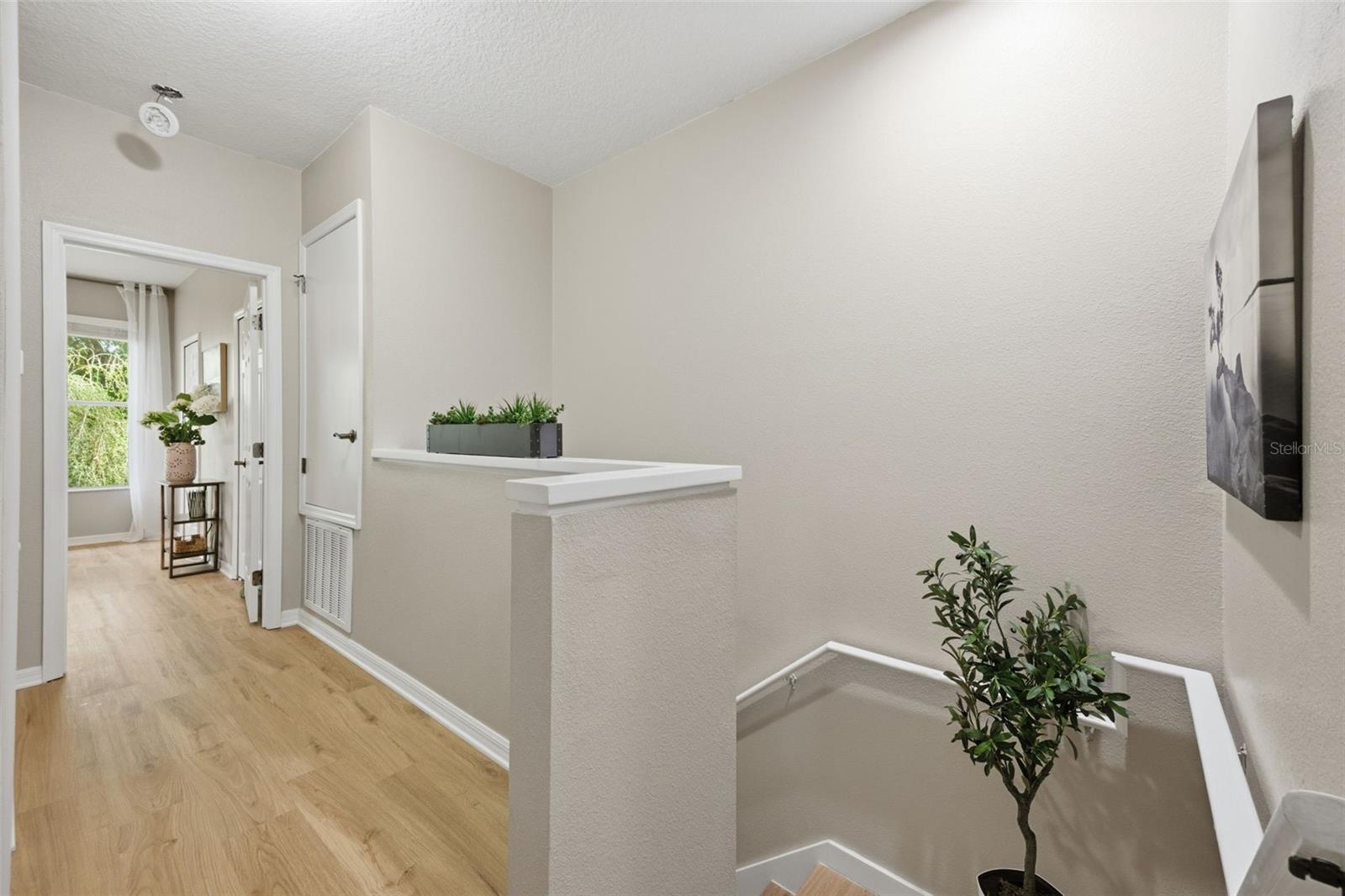 14244 WATERVILLE CIR, TAMPA, FL, 33626