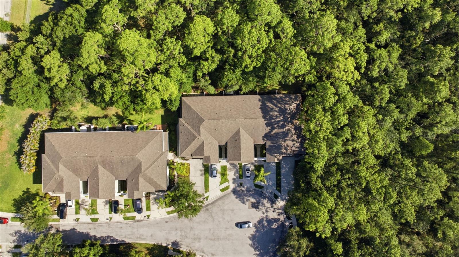 14244 WATERVILLE CIR, TAMPA, FL, 33626