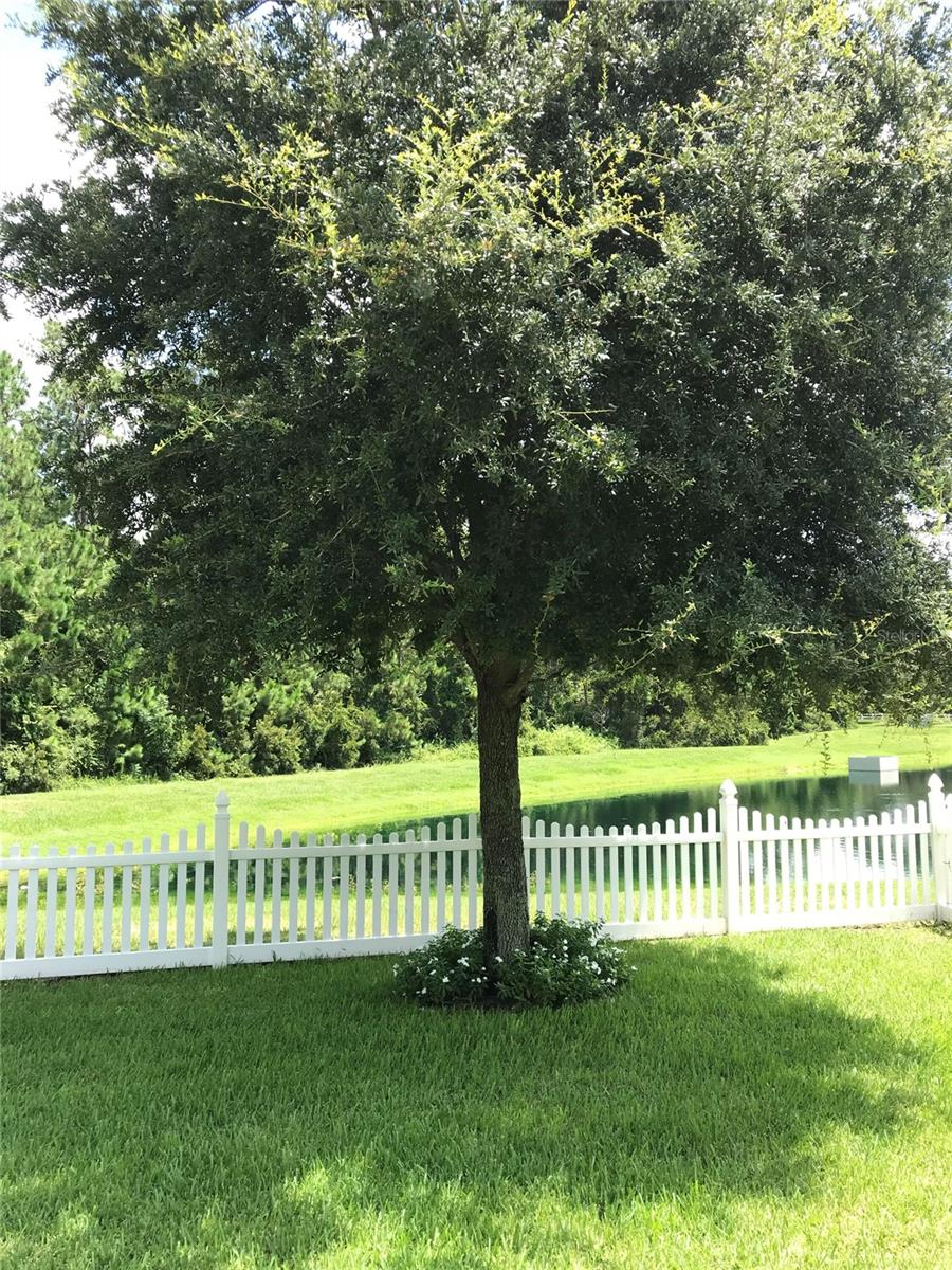 6110 MERIWETHER CRES, WINTER GARDEN, FL, 34787