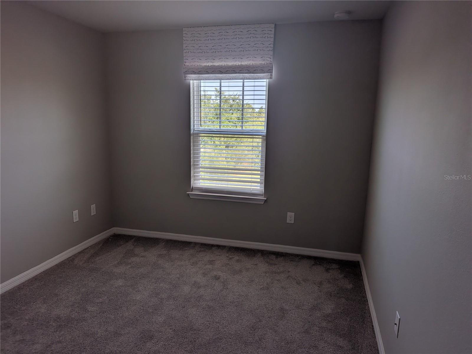 5320 LITTLE STREAM LN, WESLEY CHAPEL, FL, 33545