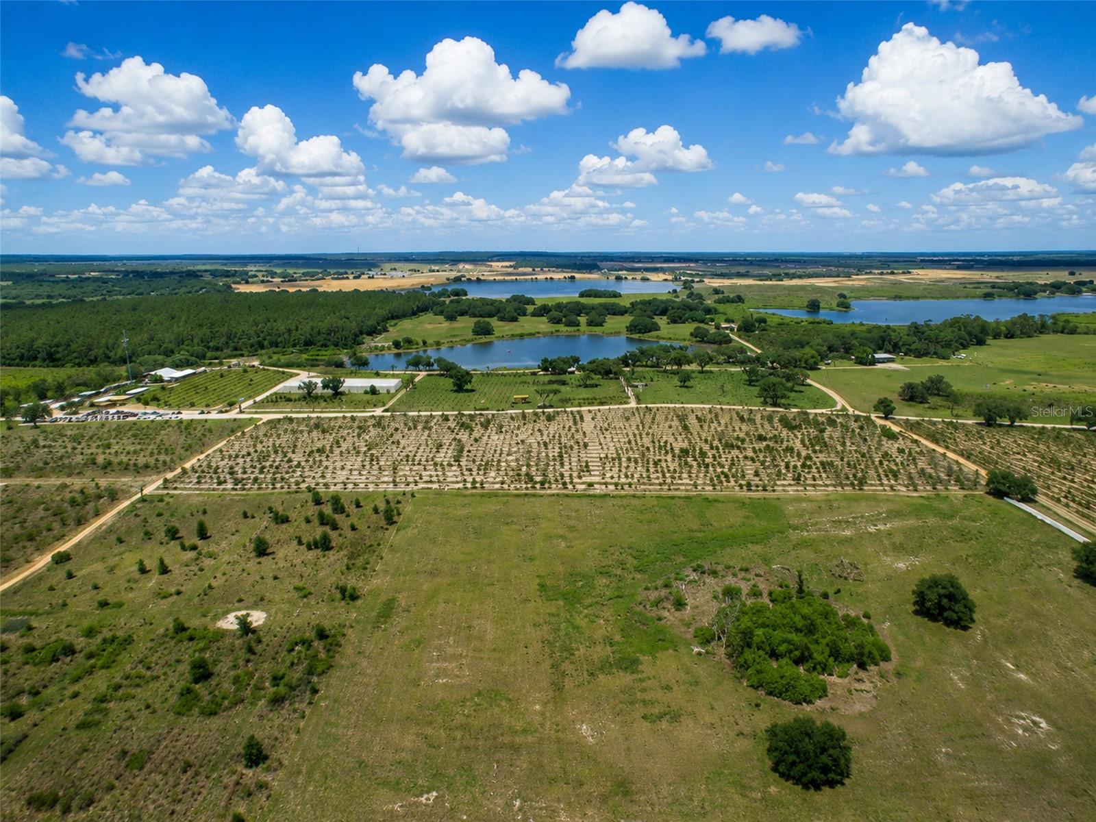 15314 GRAND HAVEN DR, CLERMONT, FL, 34714