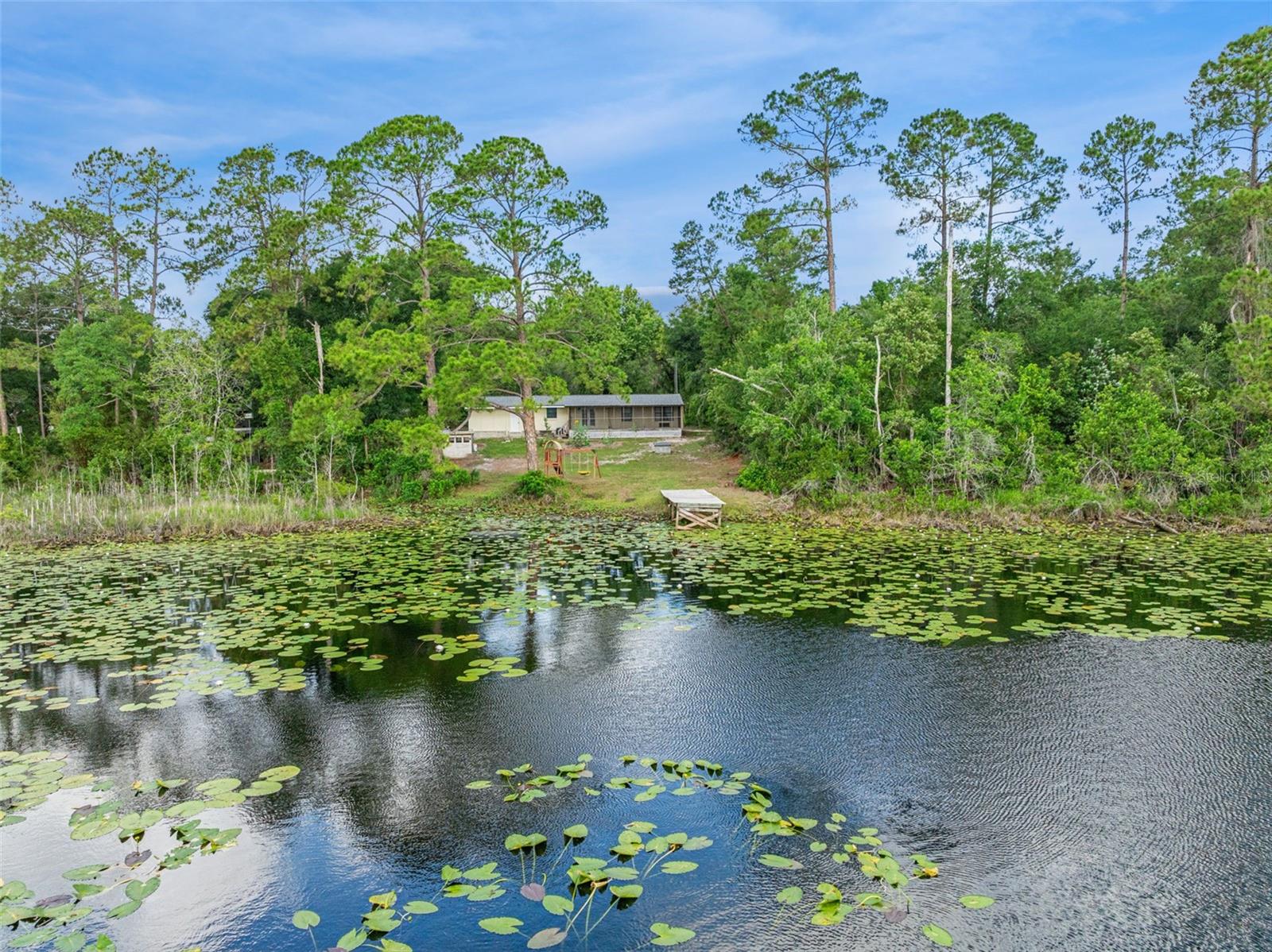 42146 PINE VALLEY DR, PAISLEY, FL, 32767