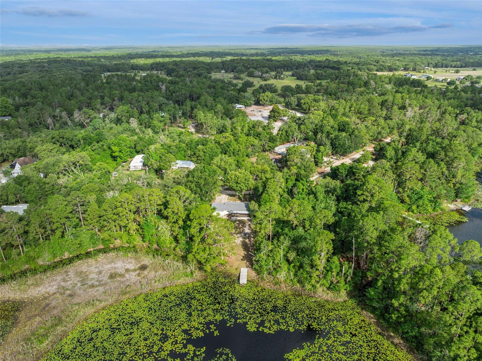 42146 PINE VALLEY DR, PAISLEY, FL, 32767