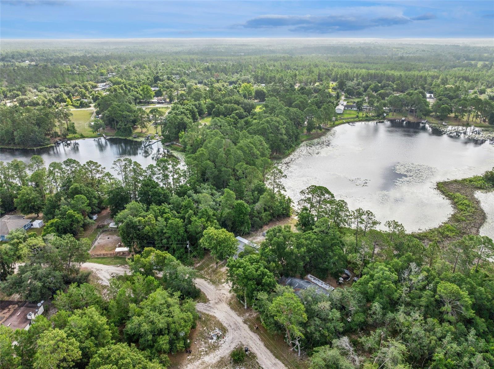 42146 PINE VALLEY DR, PAISLEY, FL, 32767