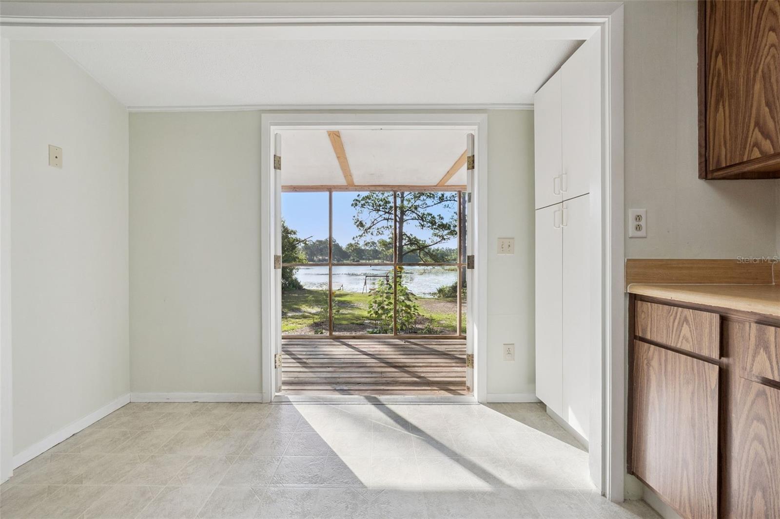 42146 PINE VALLEY DR, PAISLEY, FL, 32767