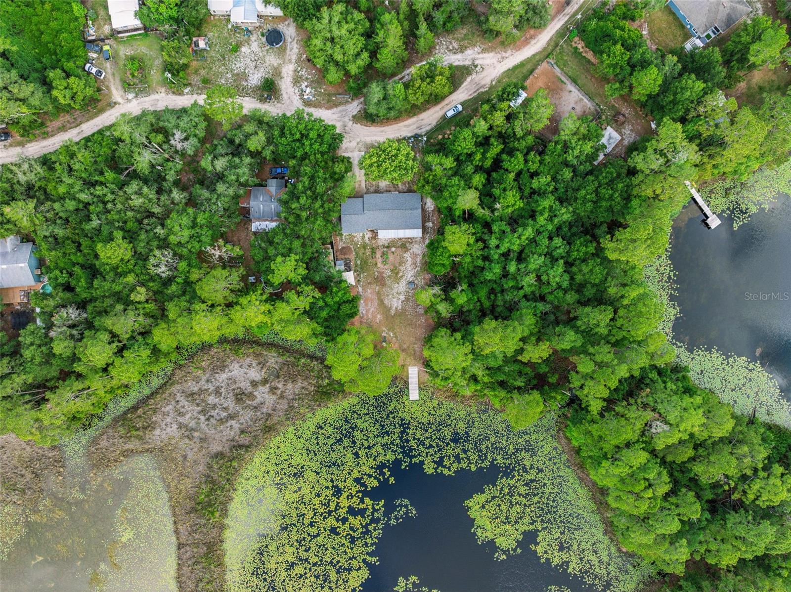 42146 PINE VALLEY DR, PAISLEY, FL, 32767