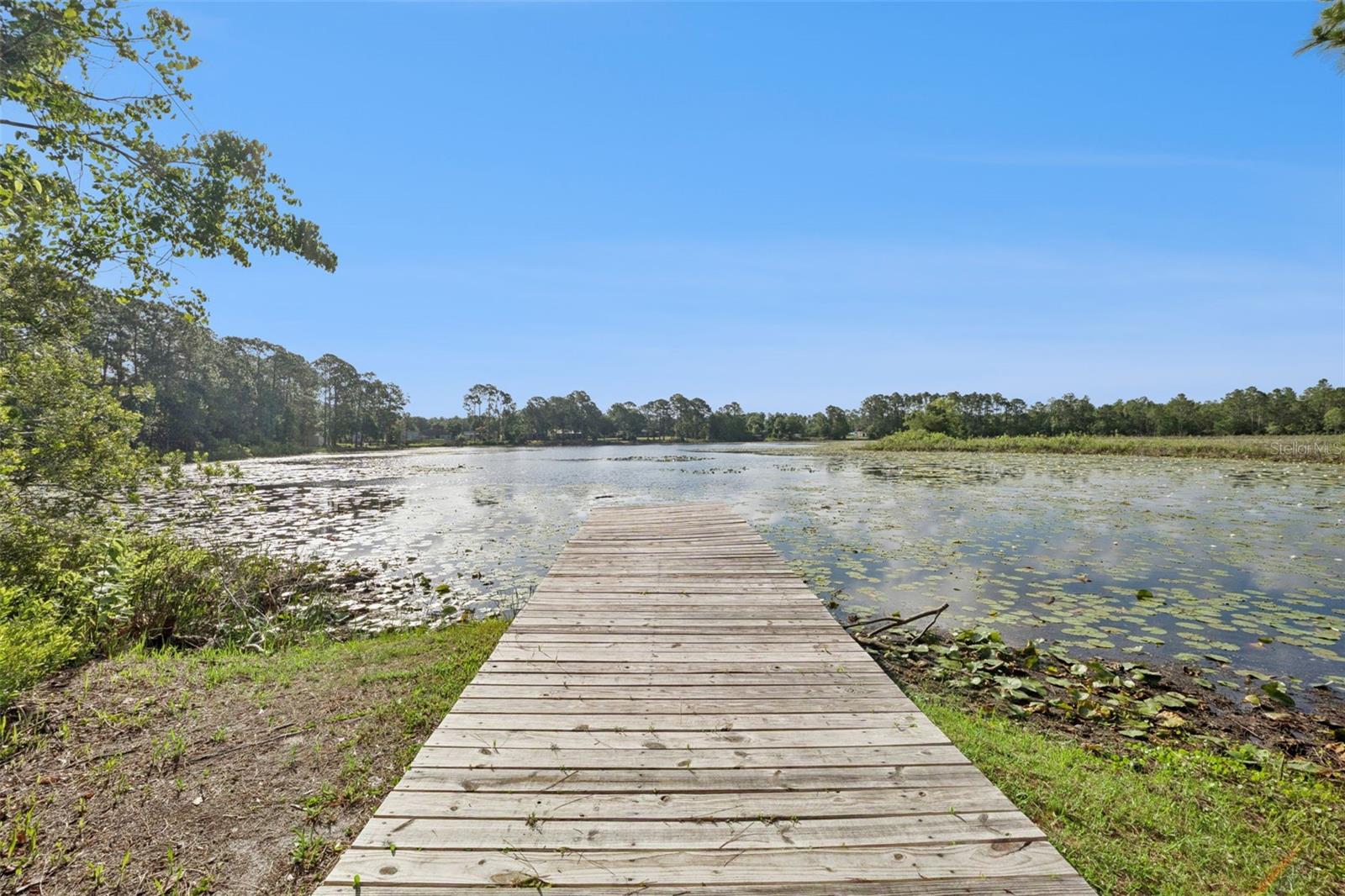 42146 PINE VALLEY DR, PAISLEY, FL, 32767