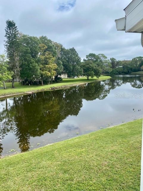 131 SABAL CT #H, OLDSMAR, FL, 34677