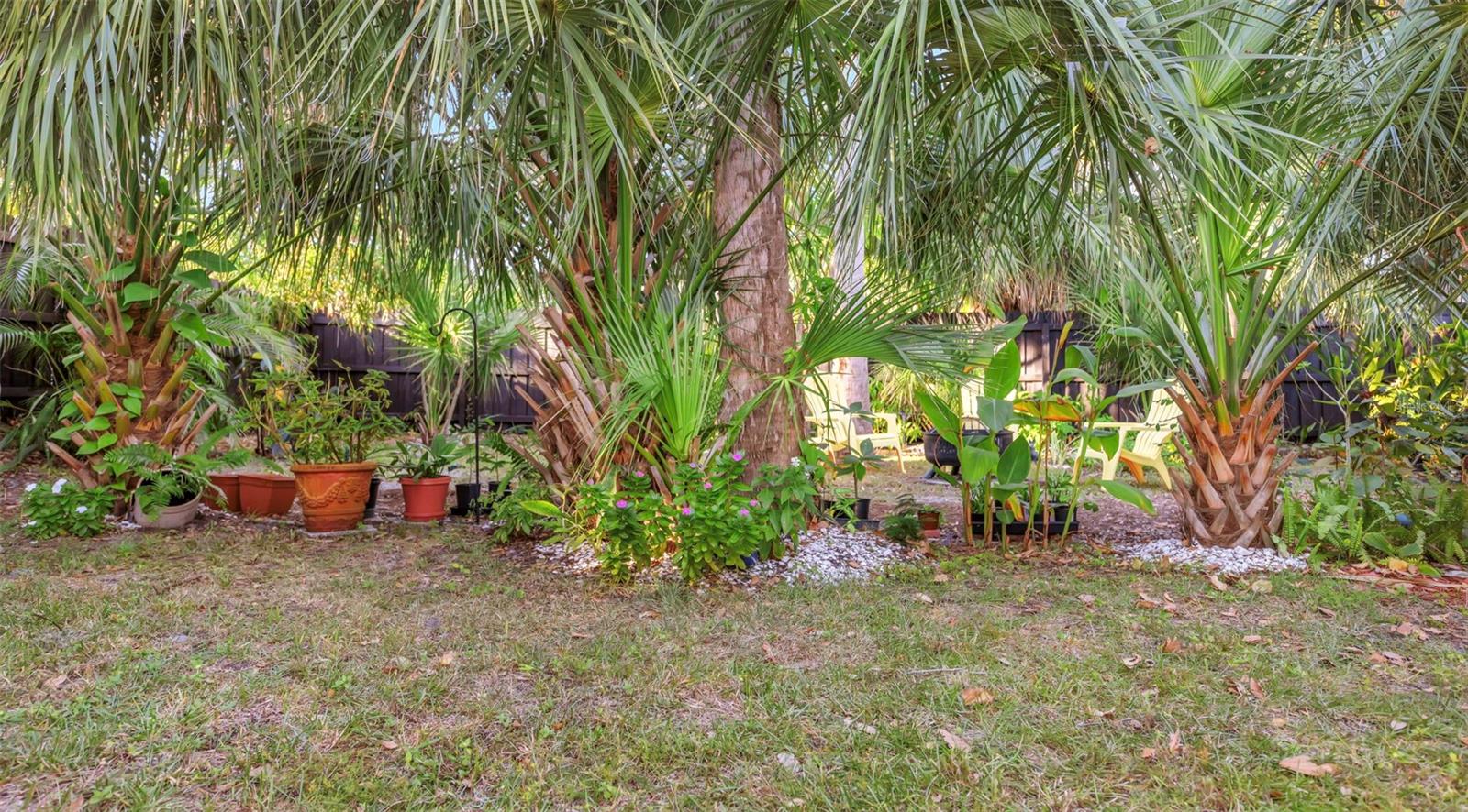 116 READ ST, TARPON SPRINGS, FL, 34689