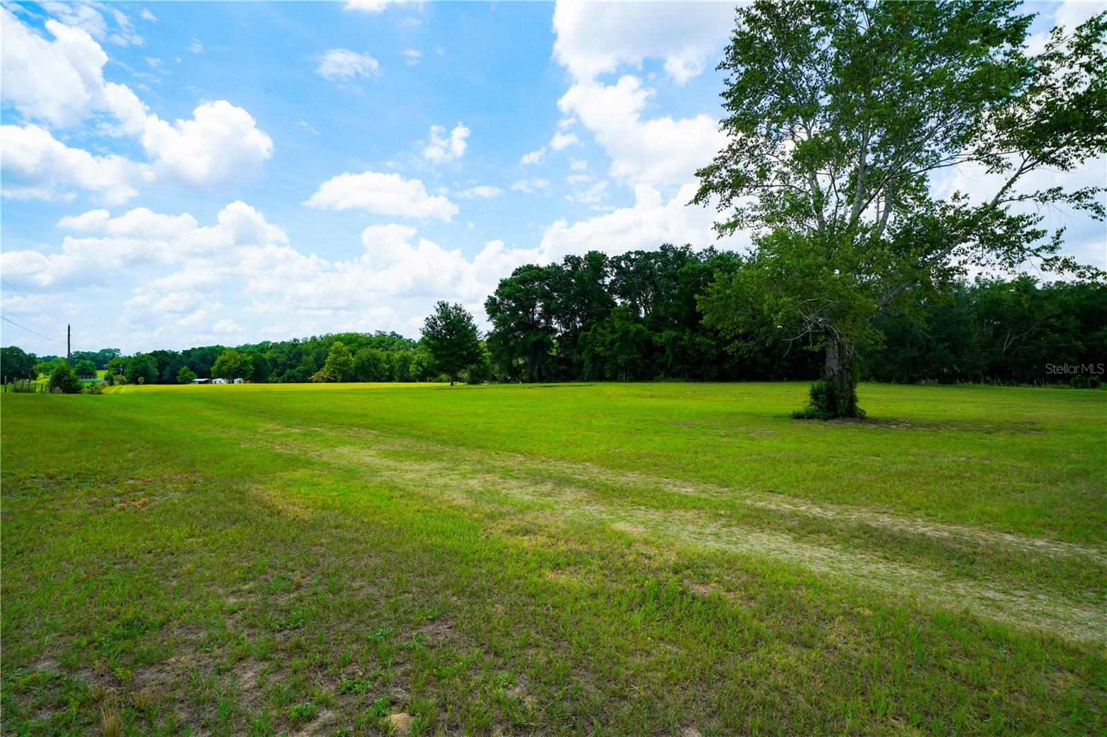 15530 SE 47TH AVE, SUMMERFIELD, FL, 34491