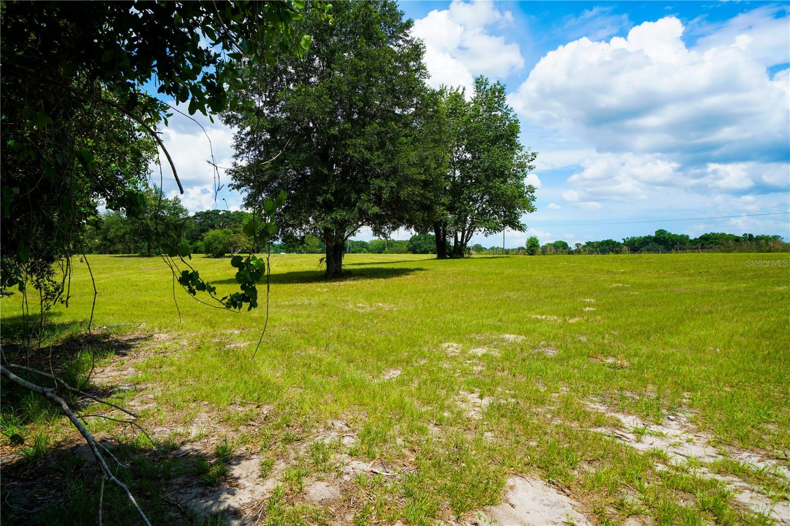 15530 SE 47TH AVE, SUMMERFIELD, FL, 34491