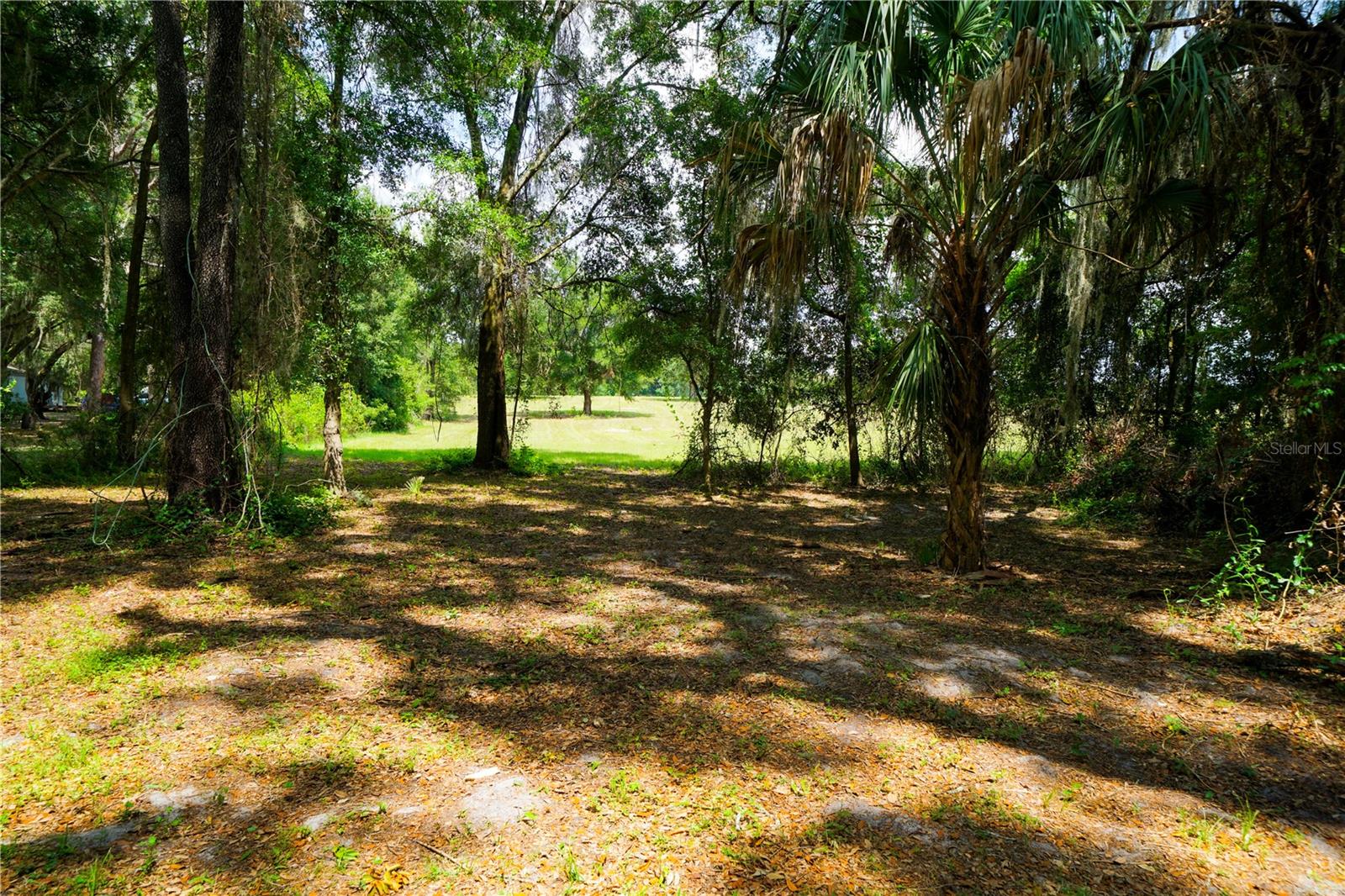 15530 SE 47TH AVE, SUMMERFIELD, FL, 34491