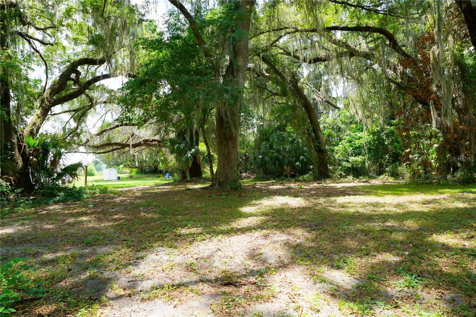 15530 SE 47TH AVE, SUMMERFIELD, FL, 34491