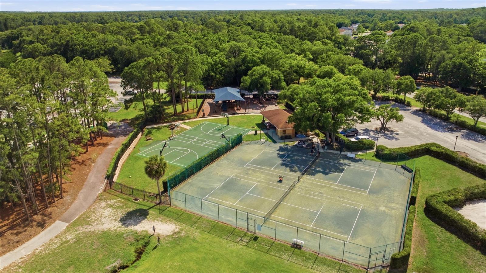 16233 CARNOUSTIE DR, ODESSA, FL, 33556