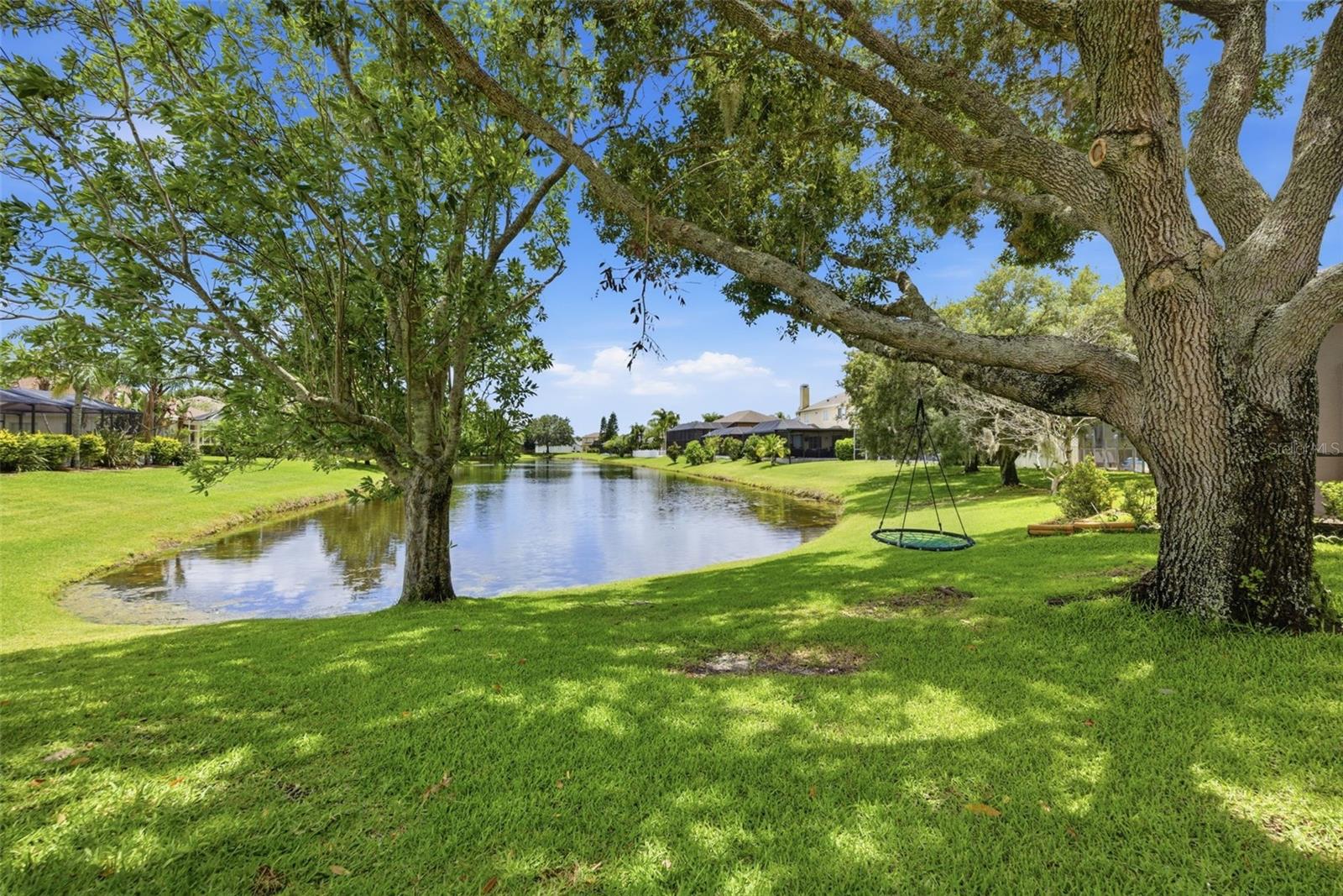 16233 CARNOUSTIE DR, ODESSA, FL, 33556
