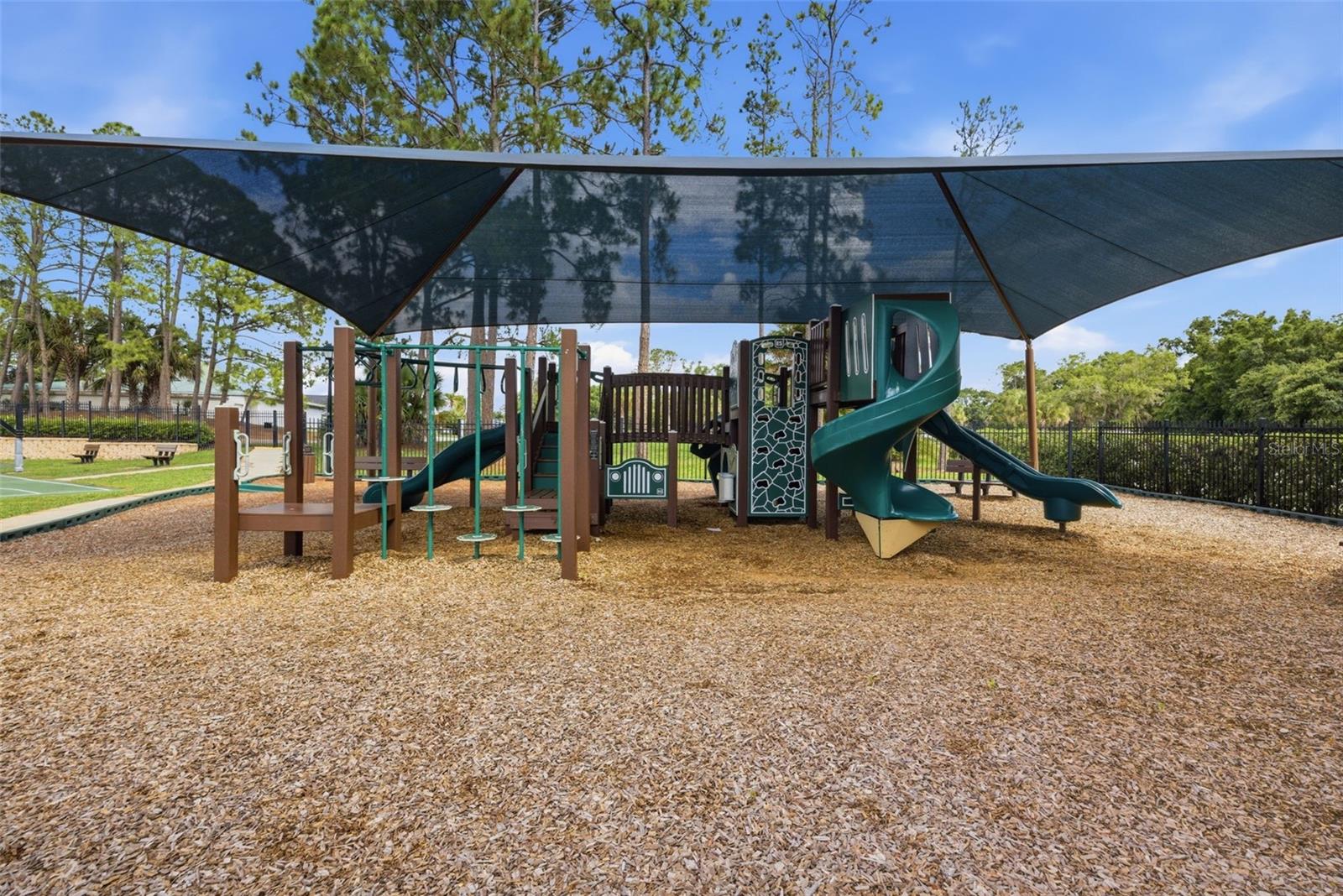 16233 CARNOUSTIE DR, ODESSA, FL, 33556