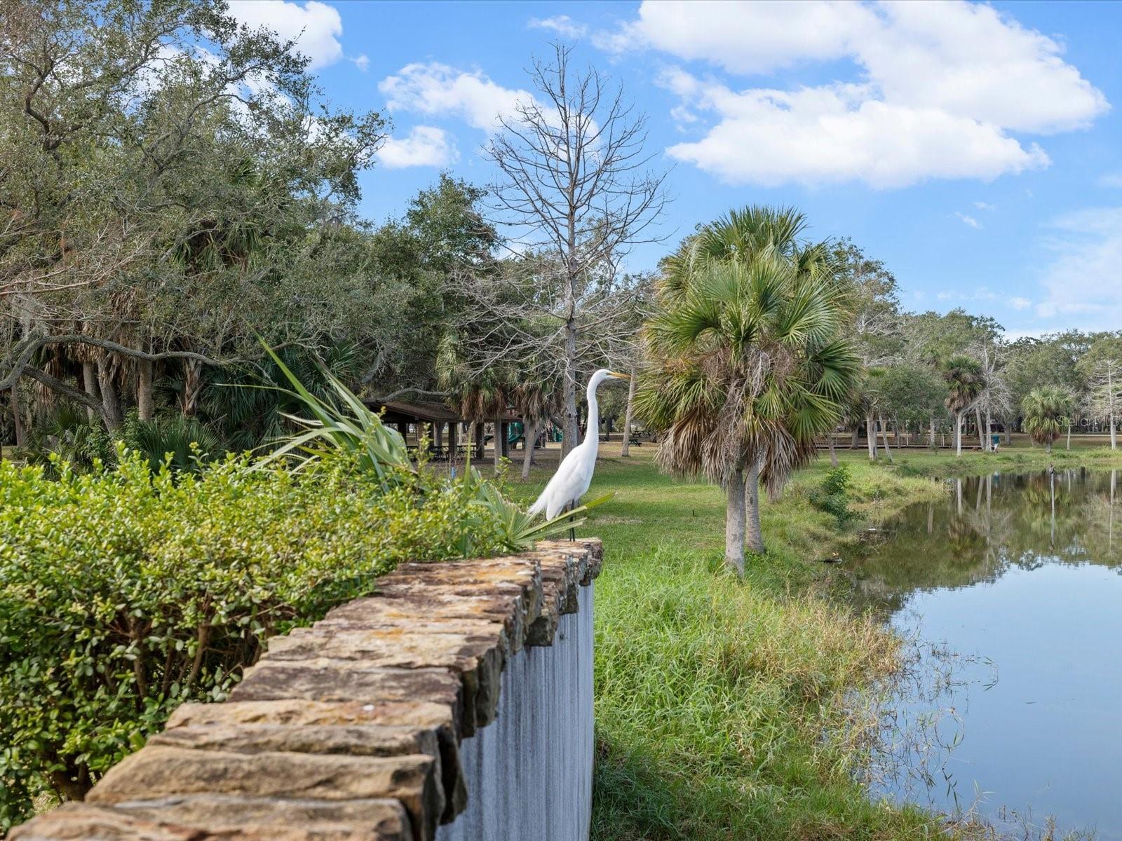 10843 HARBORSIDE DR, LARGO, FL, 33773