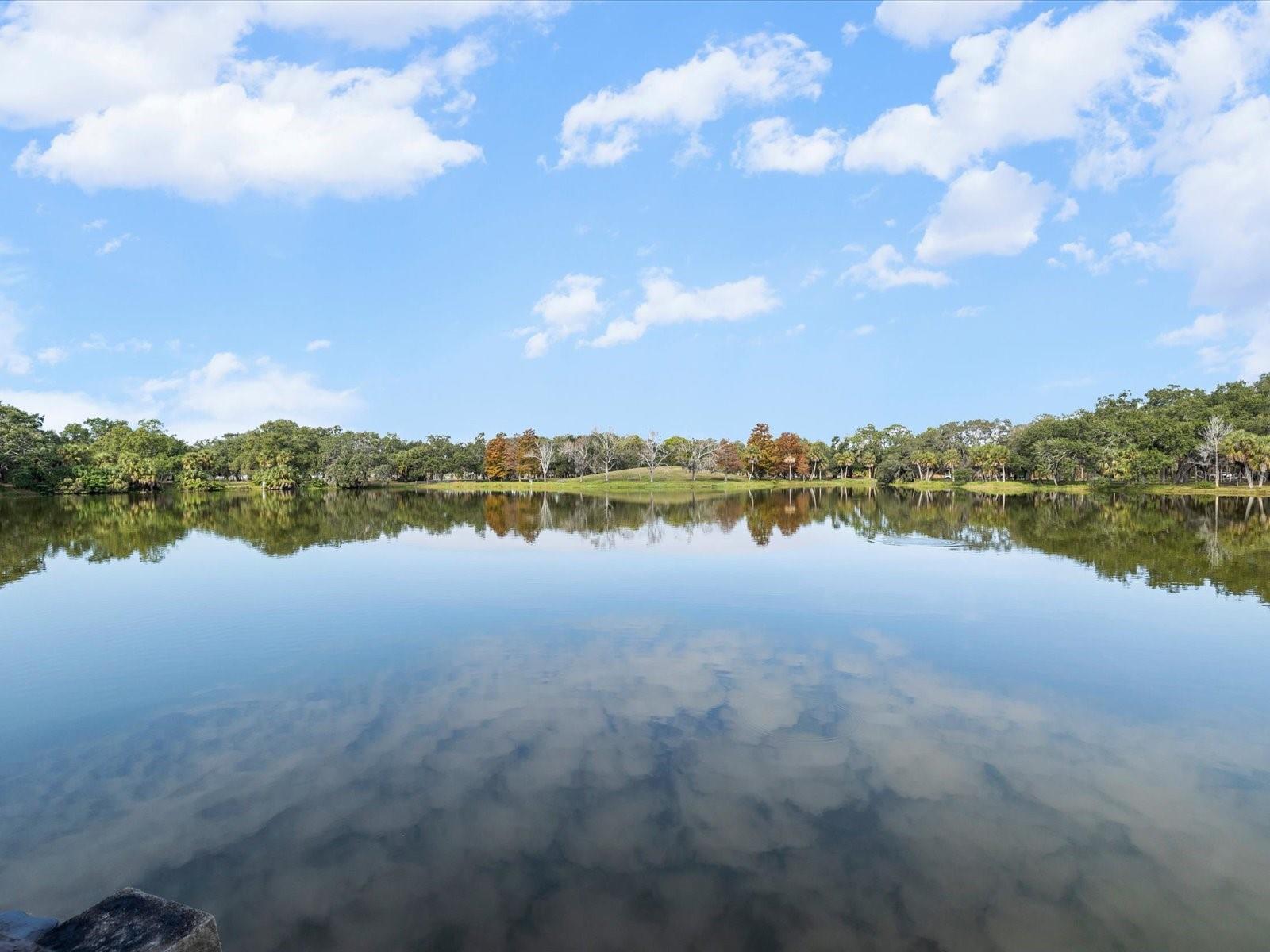 10843 HARBORSIDE DR, LARGO, FL, 33773