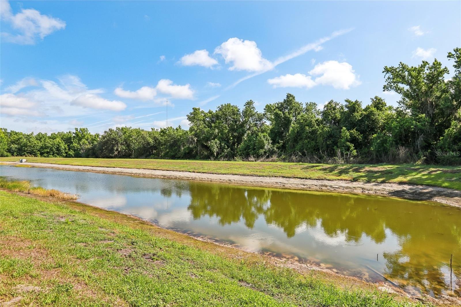 14142 SWISS BRIDGE DR, RIVERVIEW, FL, 33579