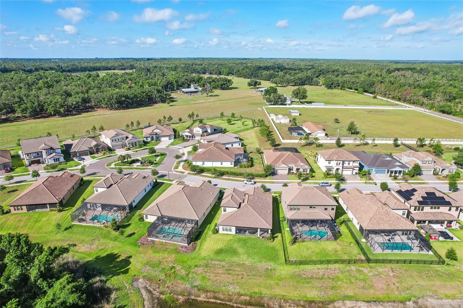 14142 SWISS BRIDGE DR, RIVERVIEW, FL, 33579