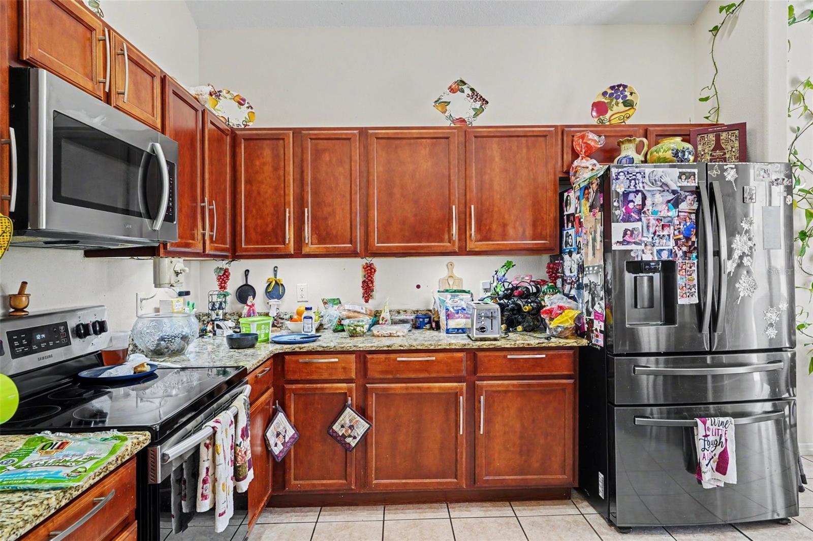204 ELDERBERRY DR, DAVENPORT, FL, 33897
