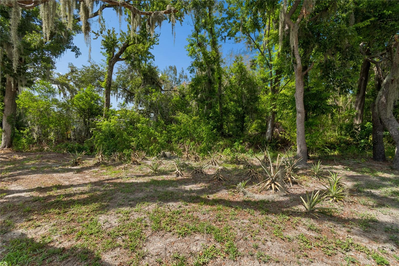 12512 SPOTTSWOOD DR, RIVERVIEW, FL, 33579