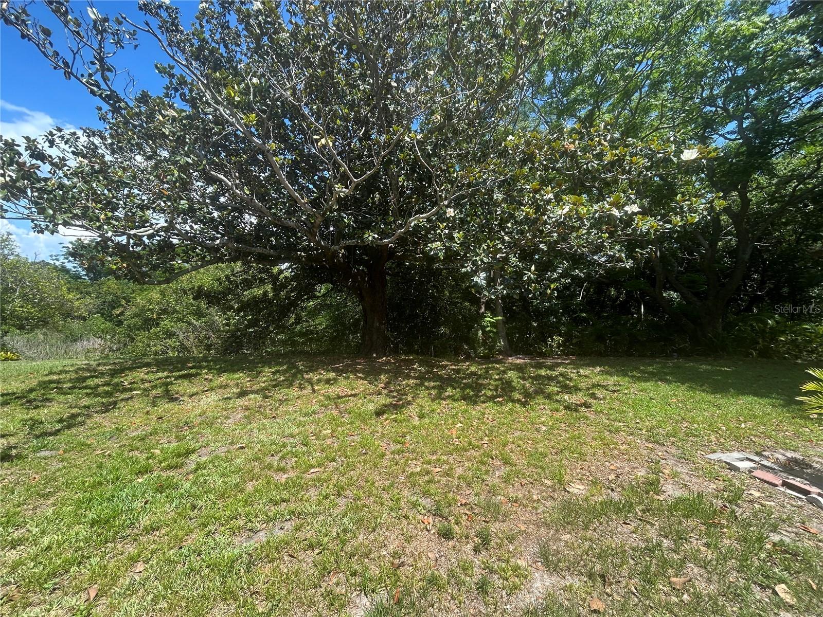 1351 MISSION CIR #48-E, CLEARWATER, FL, 33759