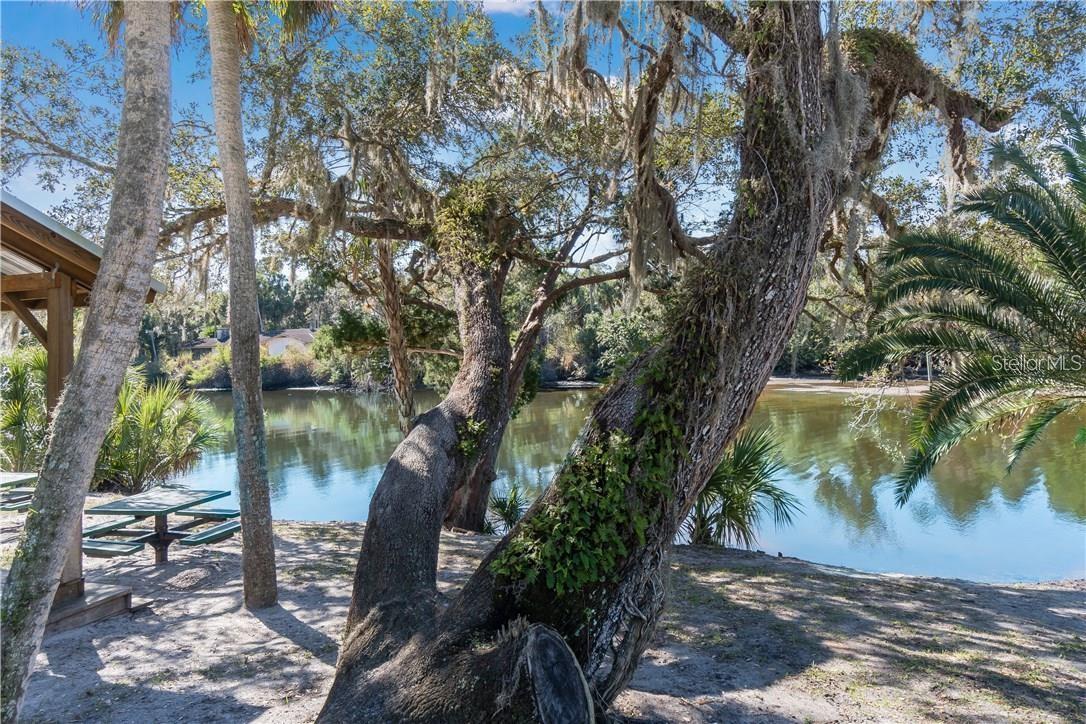 16203 33RD CT E, PARRISH, FL, 34219