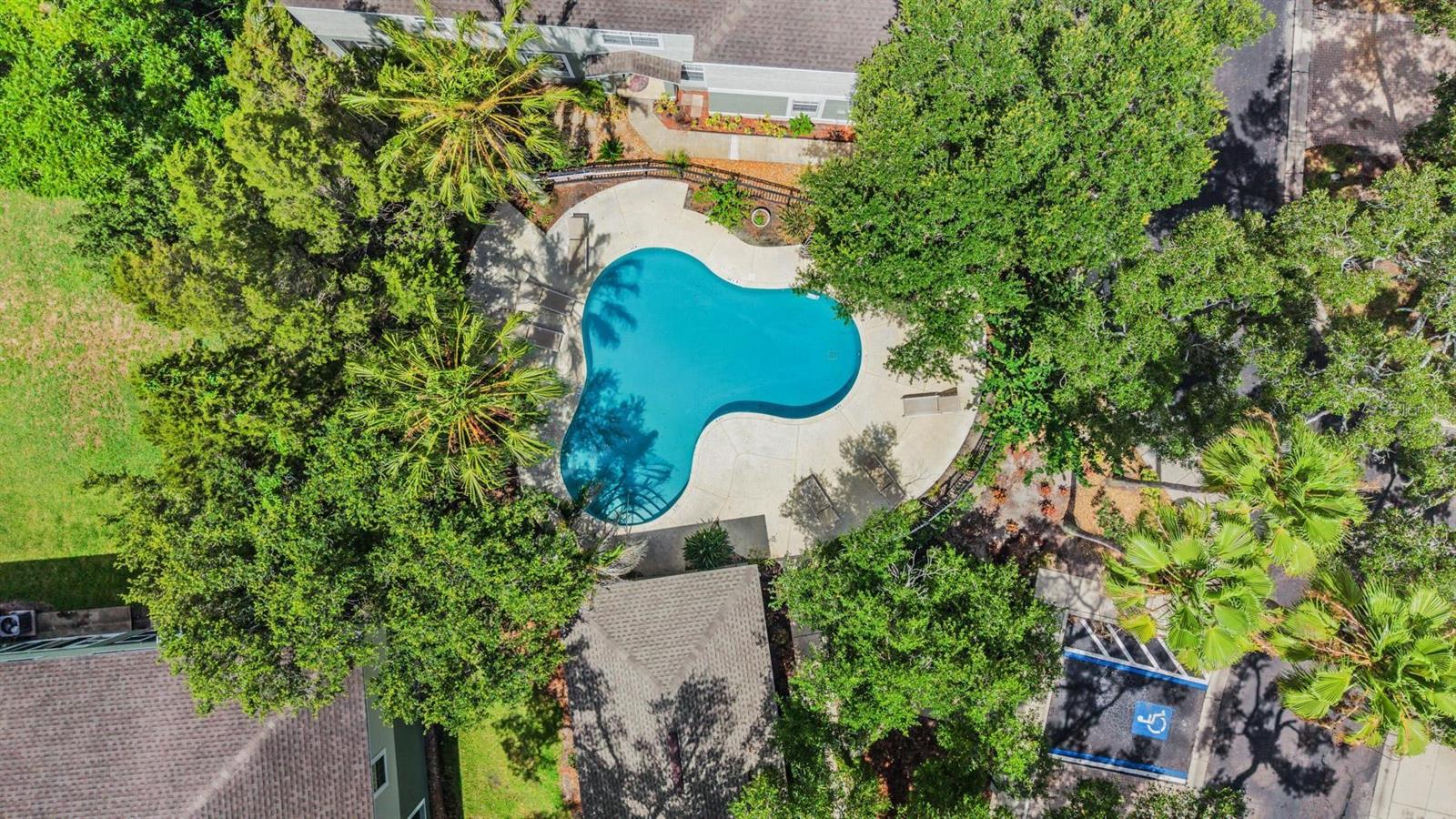 2461 EARLSWOOD CT, BRANDON, FL, 33510