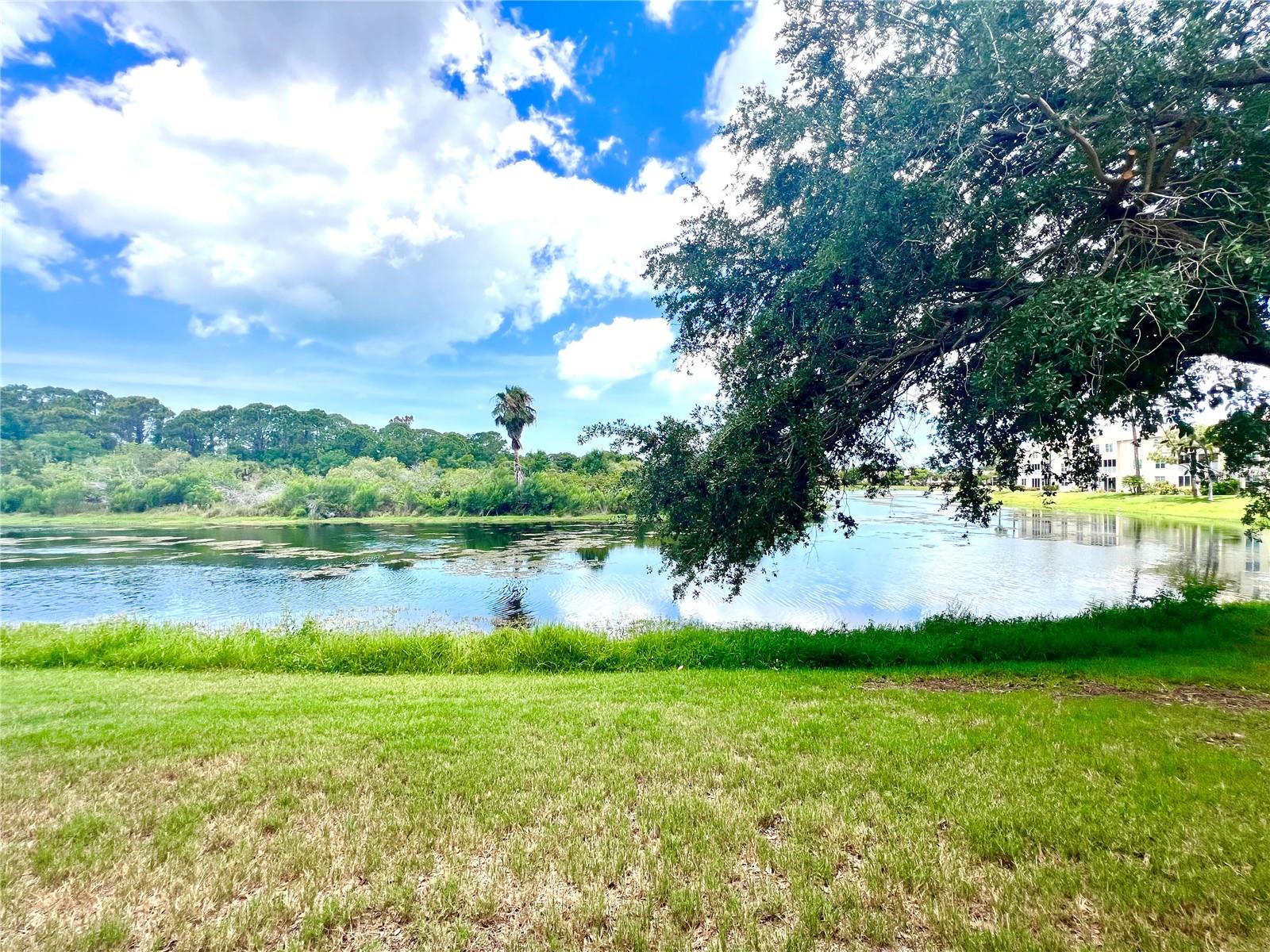 8370 WINGATE DR #726, SARASOTA, FL, 34238