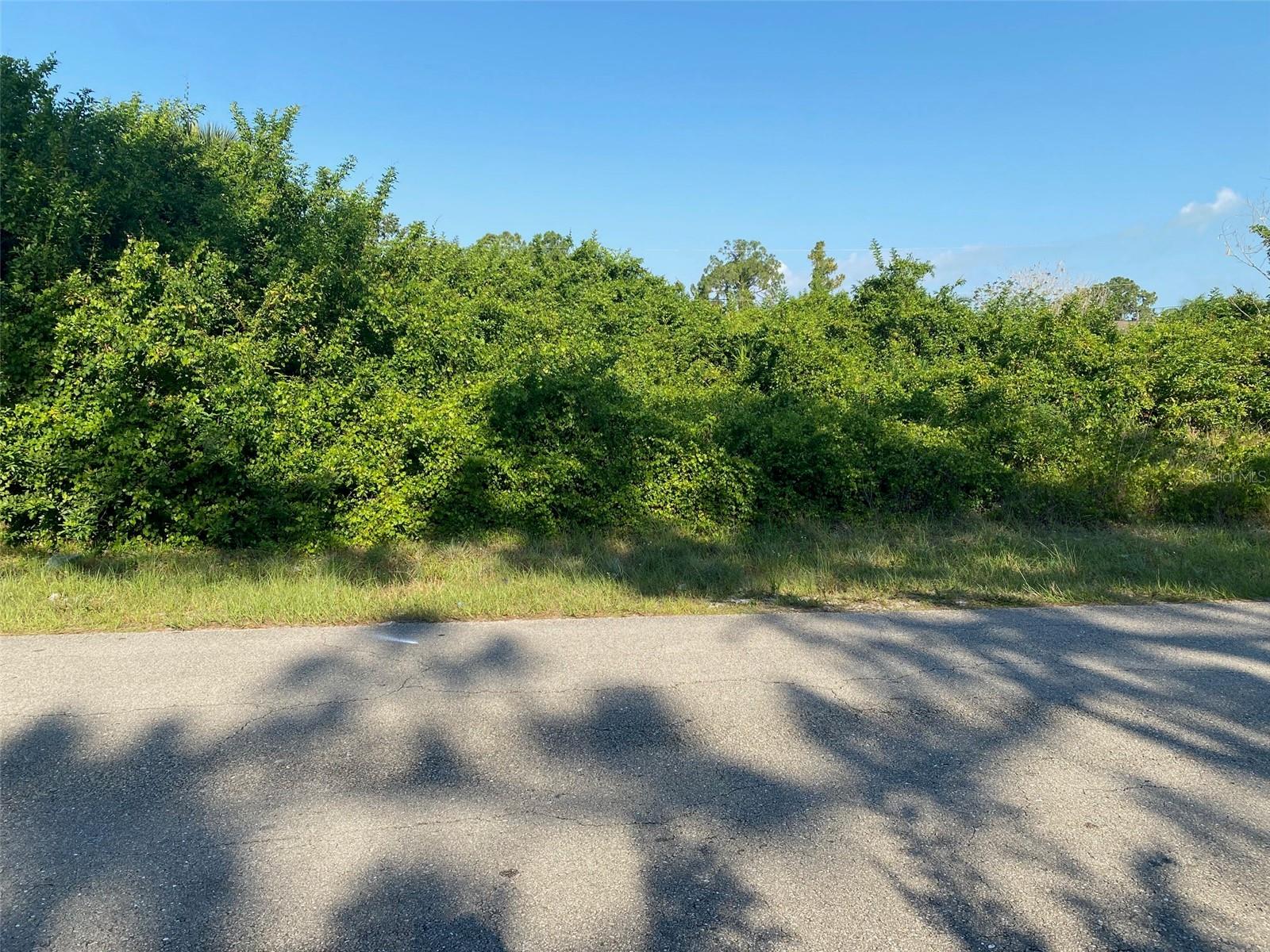 104 HOMER AVE S, LEHIGH ACRES, FL, 33973