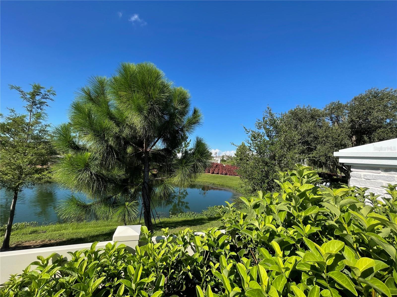 3519 MAPLE GROVE WAY, PLANT CITY, FL, 33565
