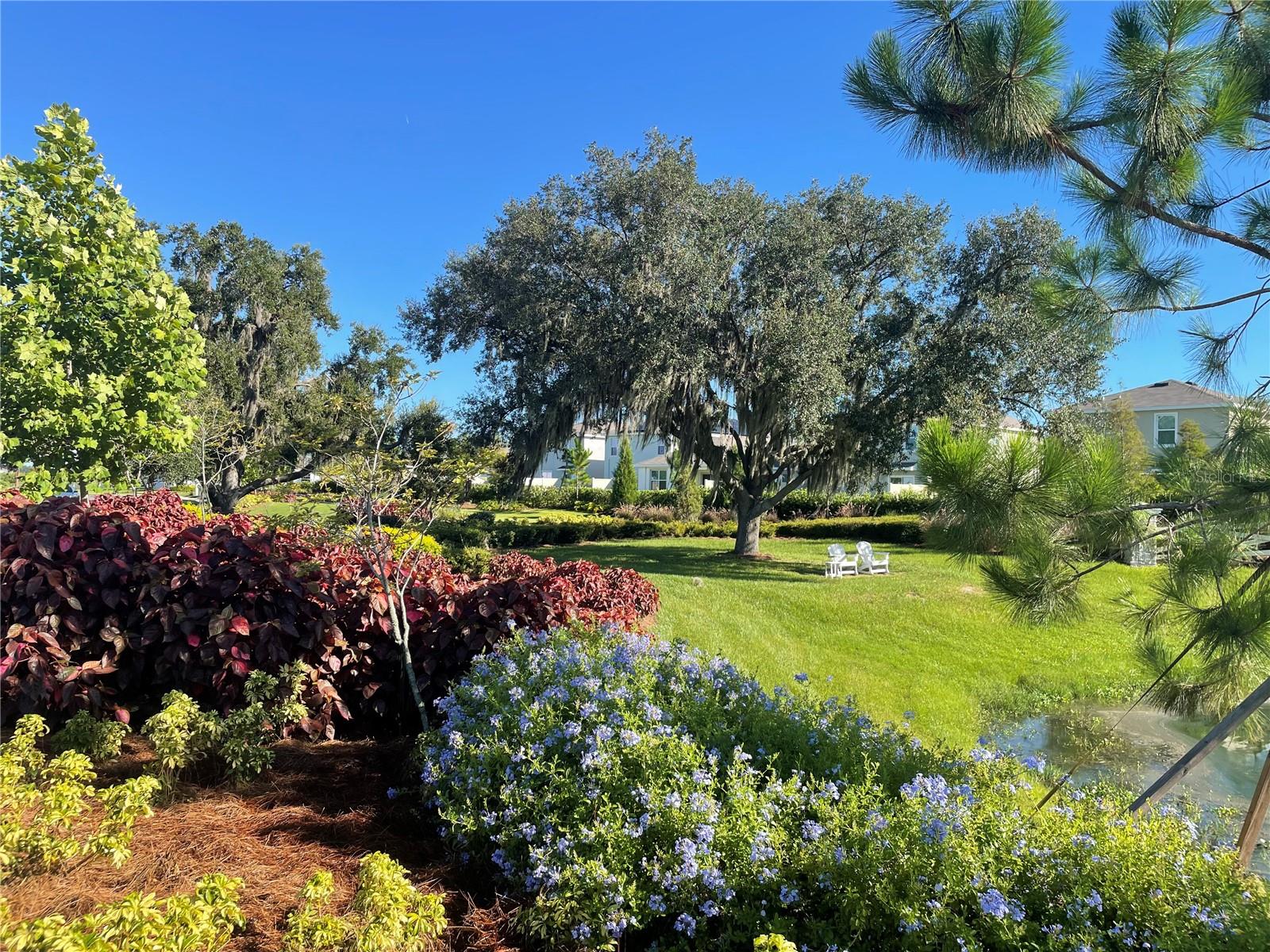 3519 MAPLE GROVE WAY, PLANT CITY, FL, 33565