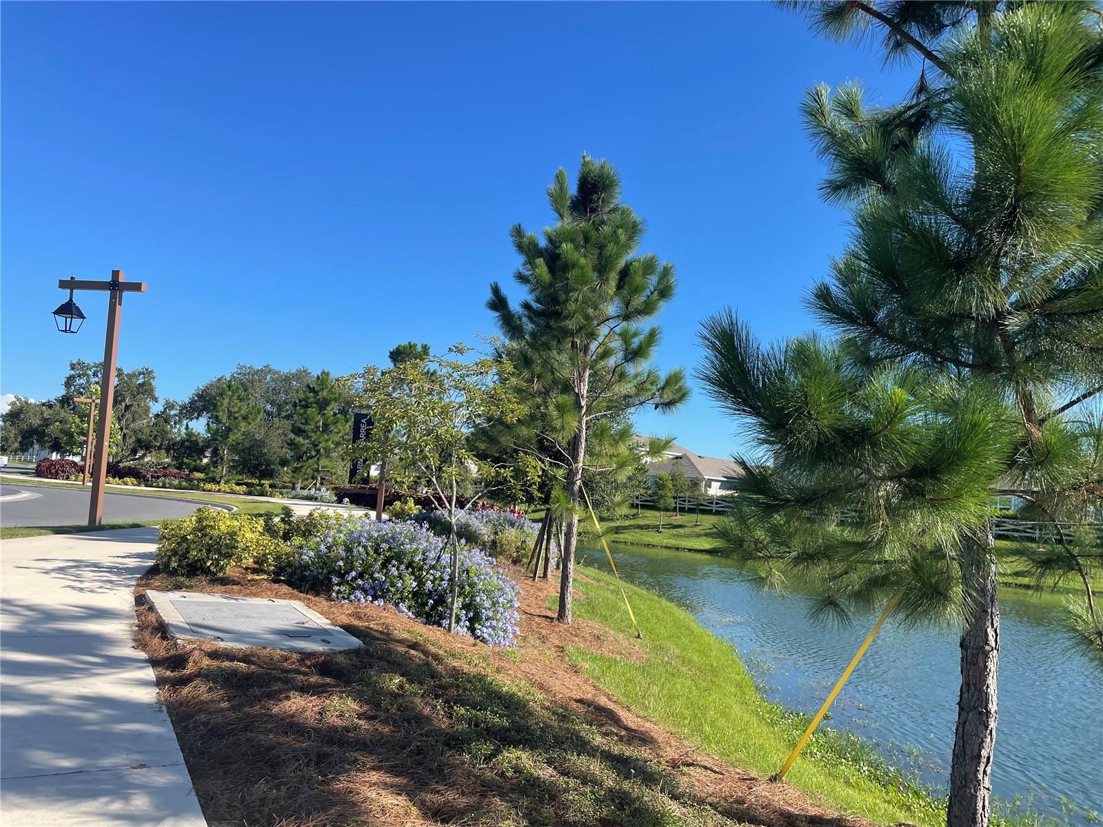 3519 MAPLE GROVE WAY, PLANT CITY, FL, 33565