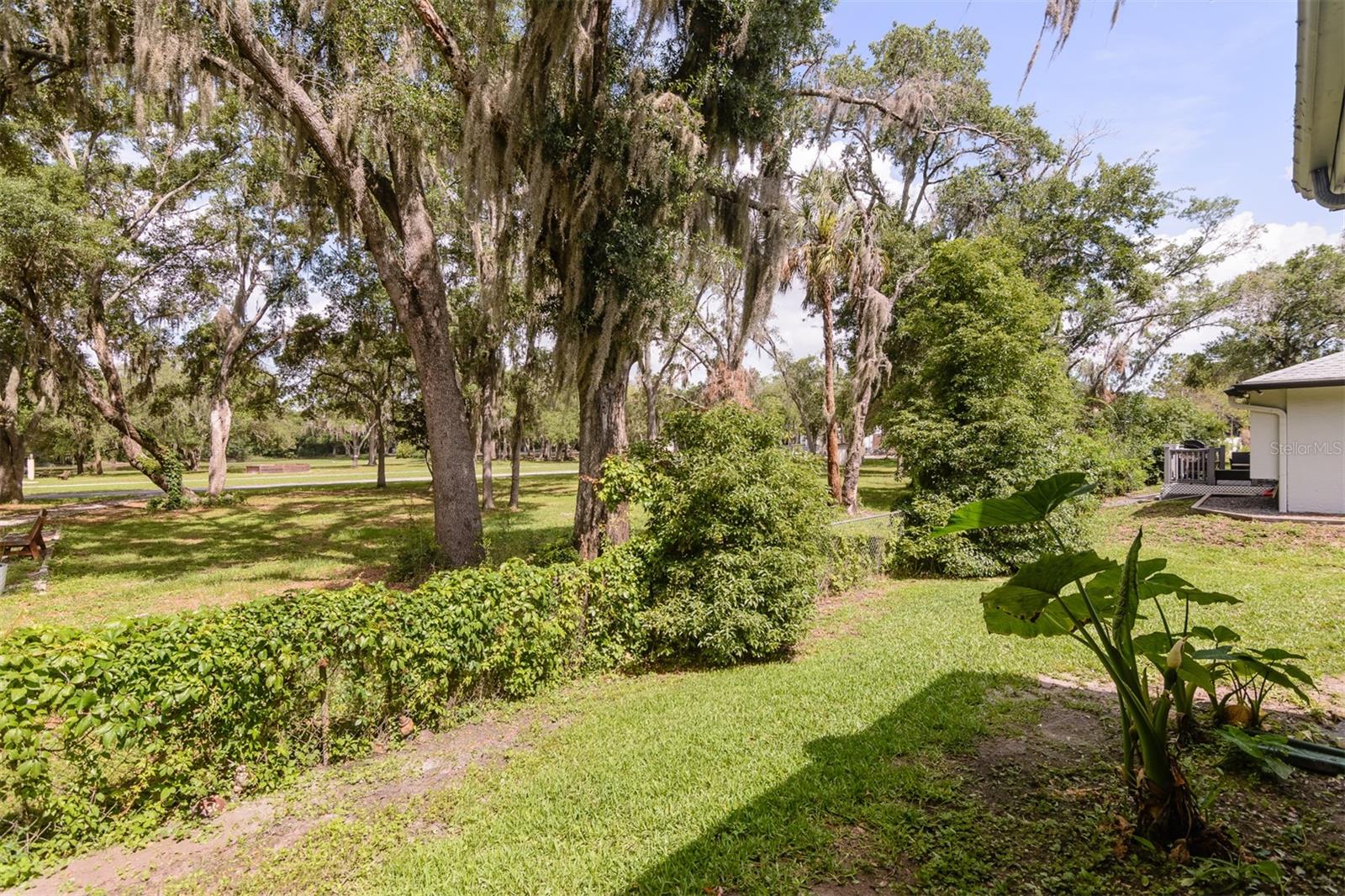3745 THORNBUSH LN, NEW PORT RICHEY, FL, 34655