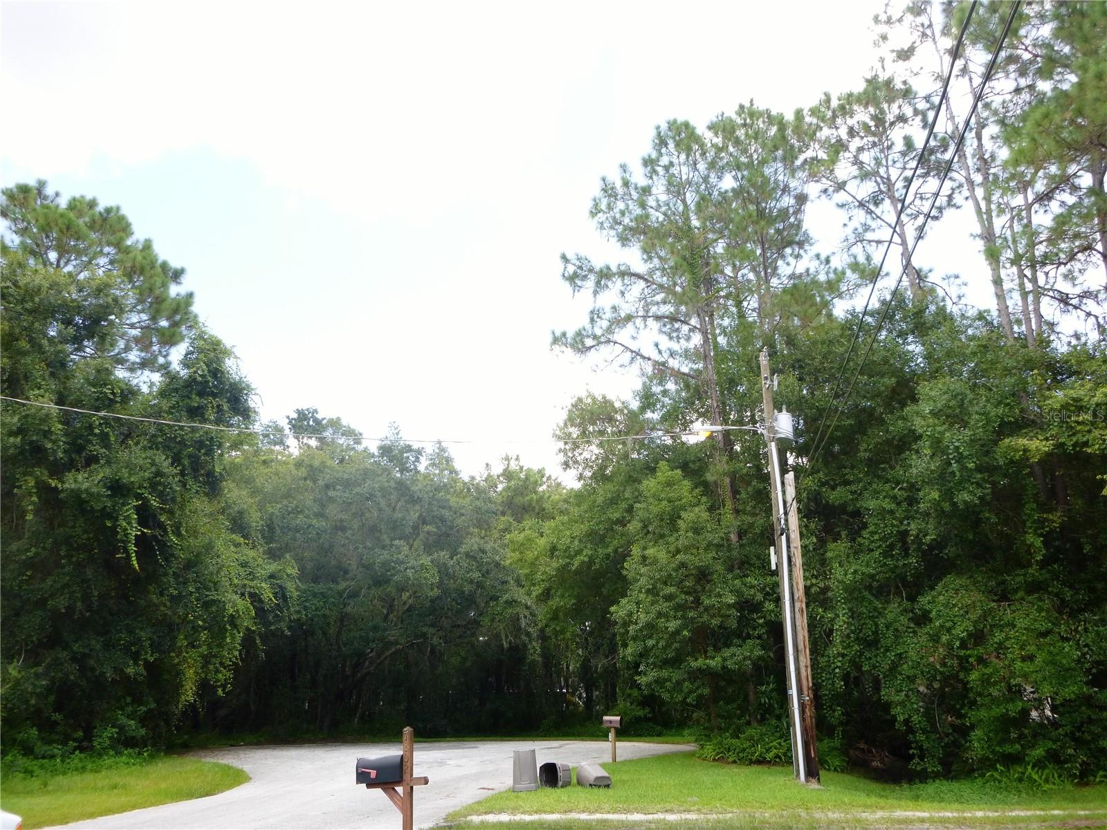 7709 WINDWARD WAY, ODESSA, FL, 33556