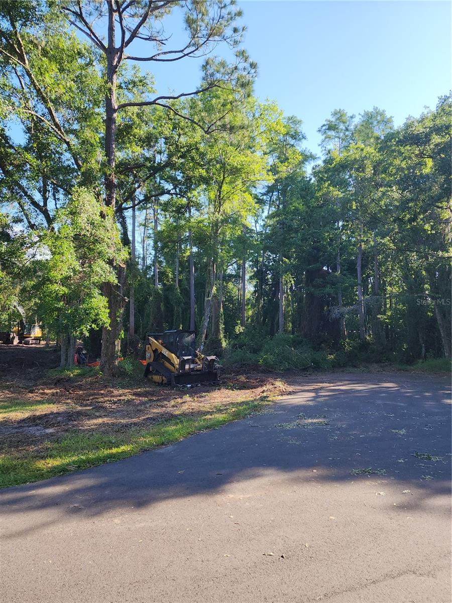 7709 WINDWARD WAY, ODESSA, FL, 33556