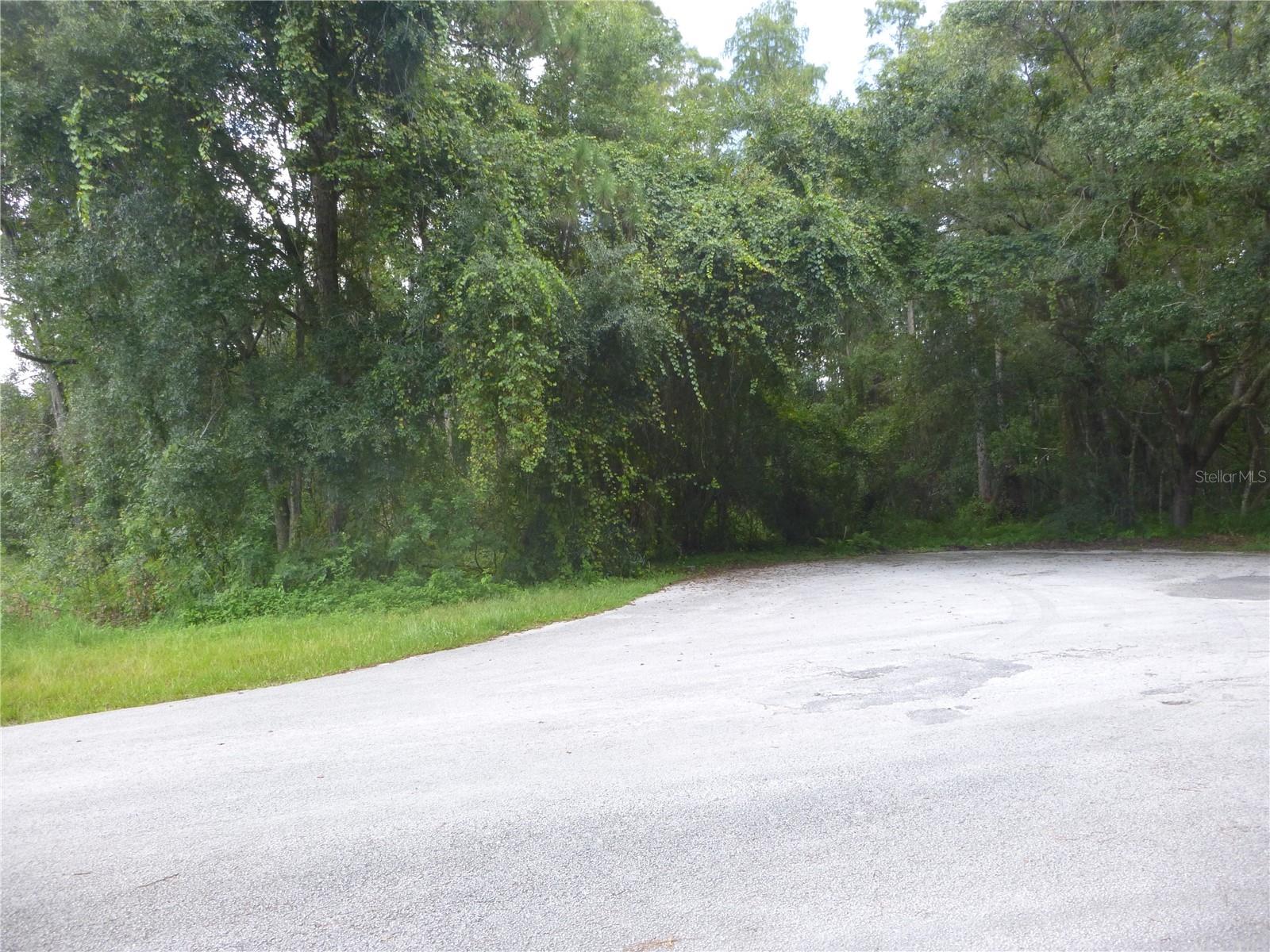 7709 WINDWARD WAY, ODESSA, FL, 33556