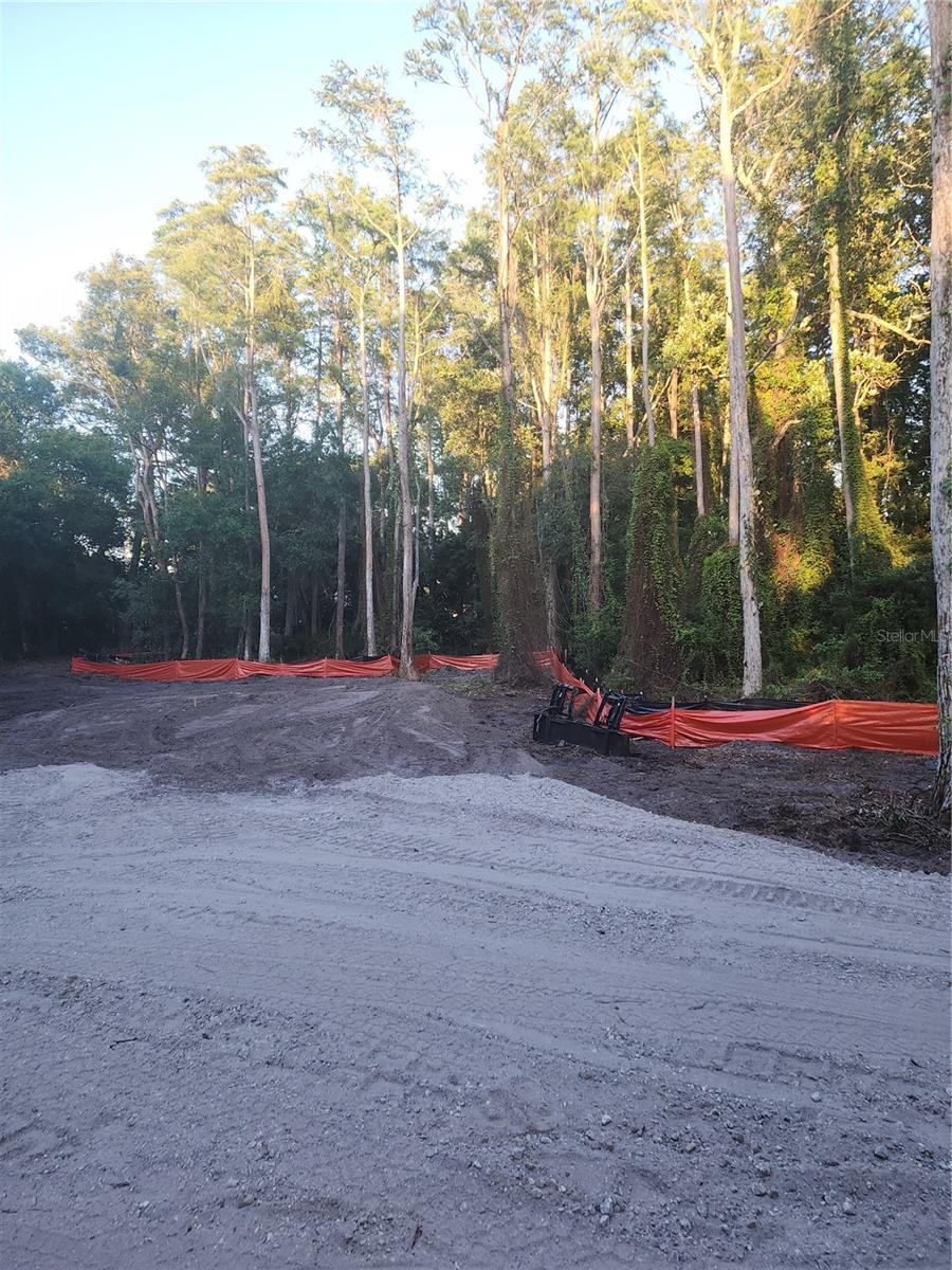 7709 WINDWARD WAY, ODESSA, FL, 33556