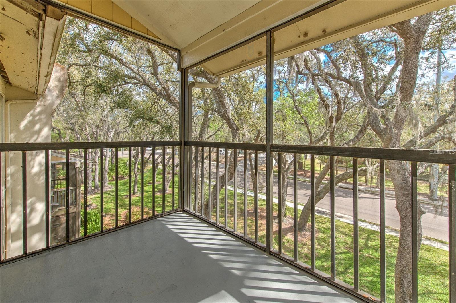 13403 ARBOR POINTE CIR #304, TAMPA, FL, 33617