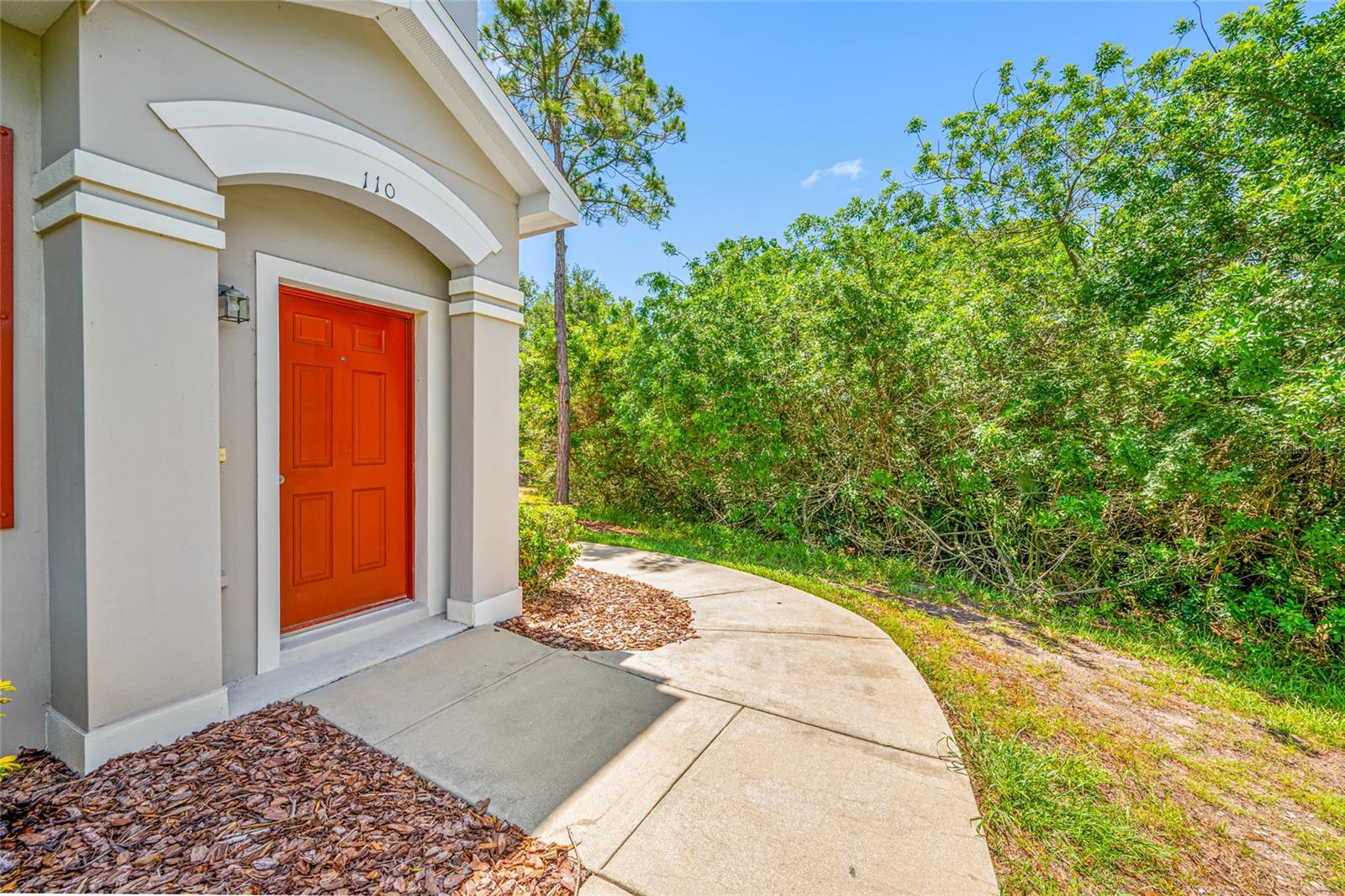 10409 CRIMSON PARK LN #110, TAMPA, FL, 33626