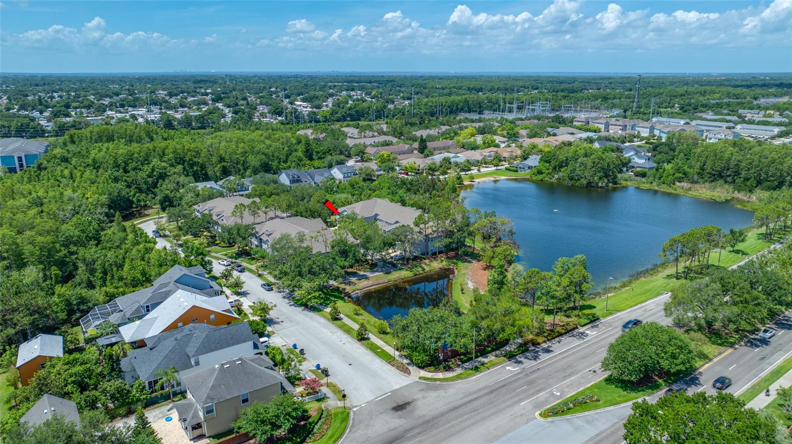 10409 CRIMSON PARK LN #110, TAMPA, FL, 33626