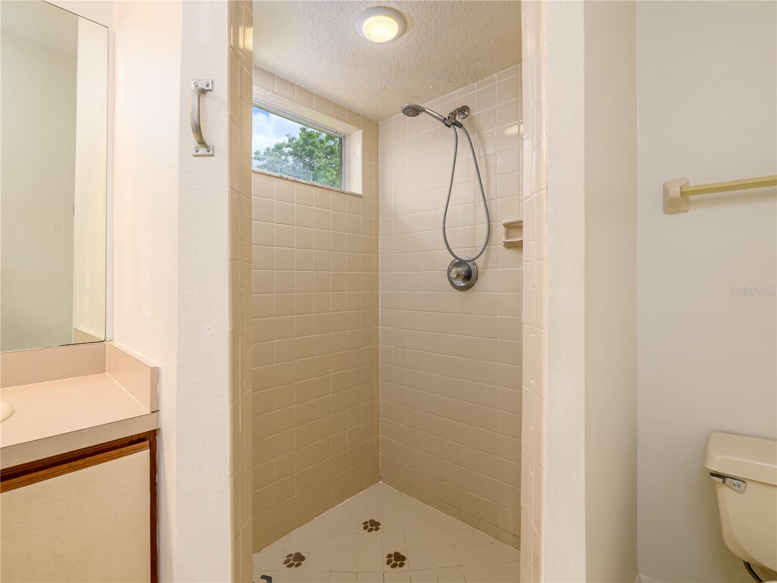 1407 WAKEFIELD DR, BRANDON, FL, 33511