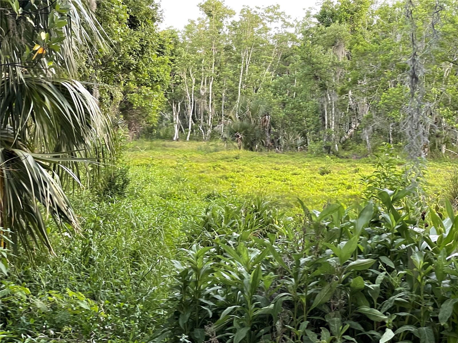 LAKE MARION RD W, HAINES CITY, FL, 33844