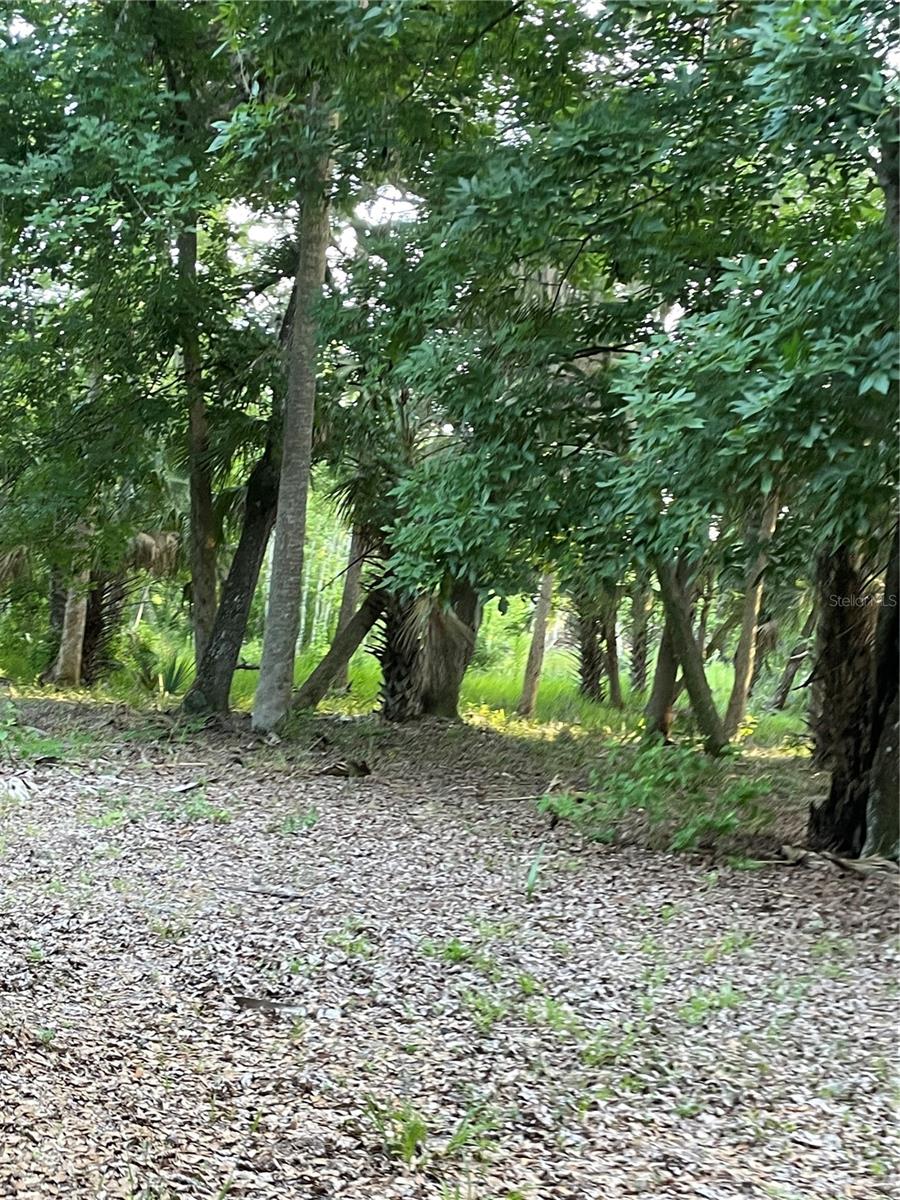 LAKE MARION RD W, HAINES CITY, FL, 33844
