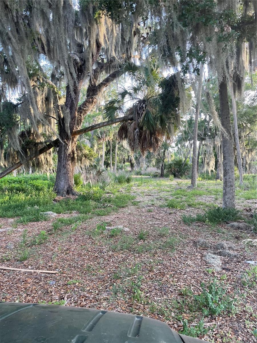 LAKE MARION RD W, HAINES CITY, FL, 33844